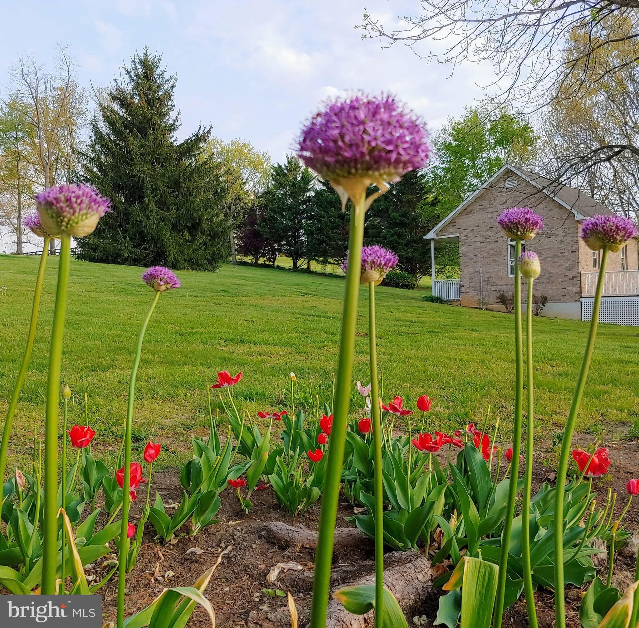 LURAY - Residential