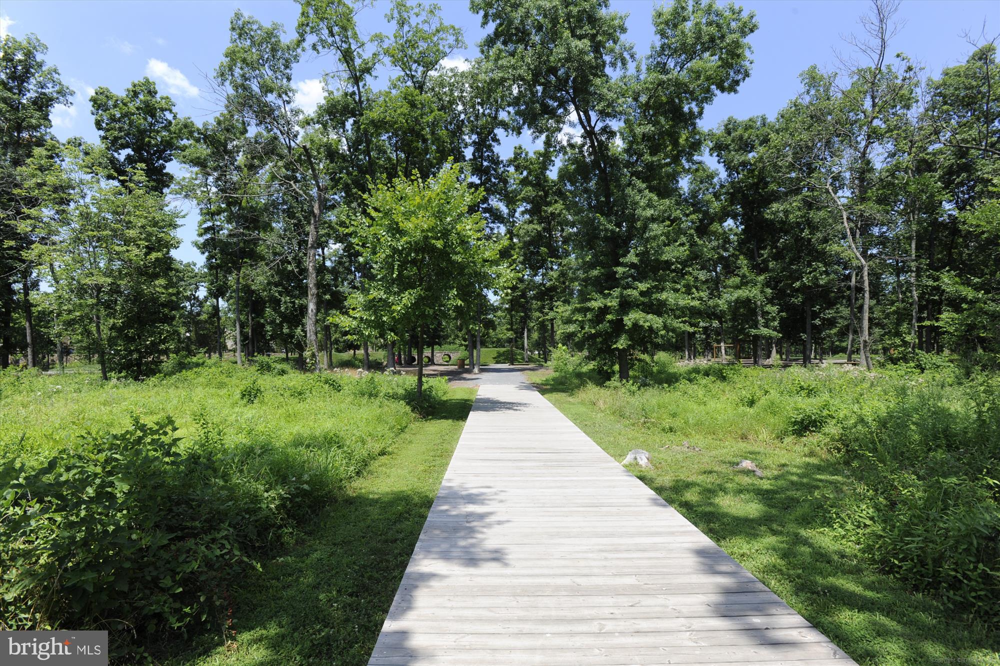 POTOMAC GREEN - Residential