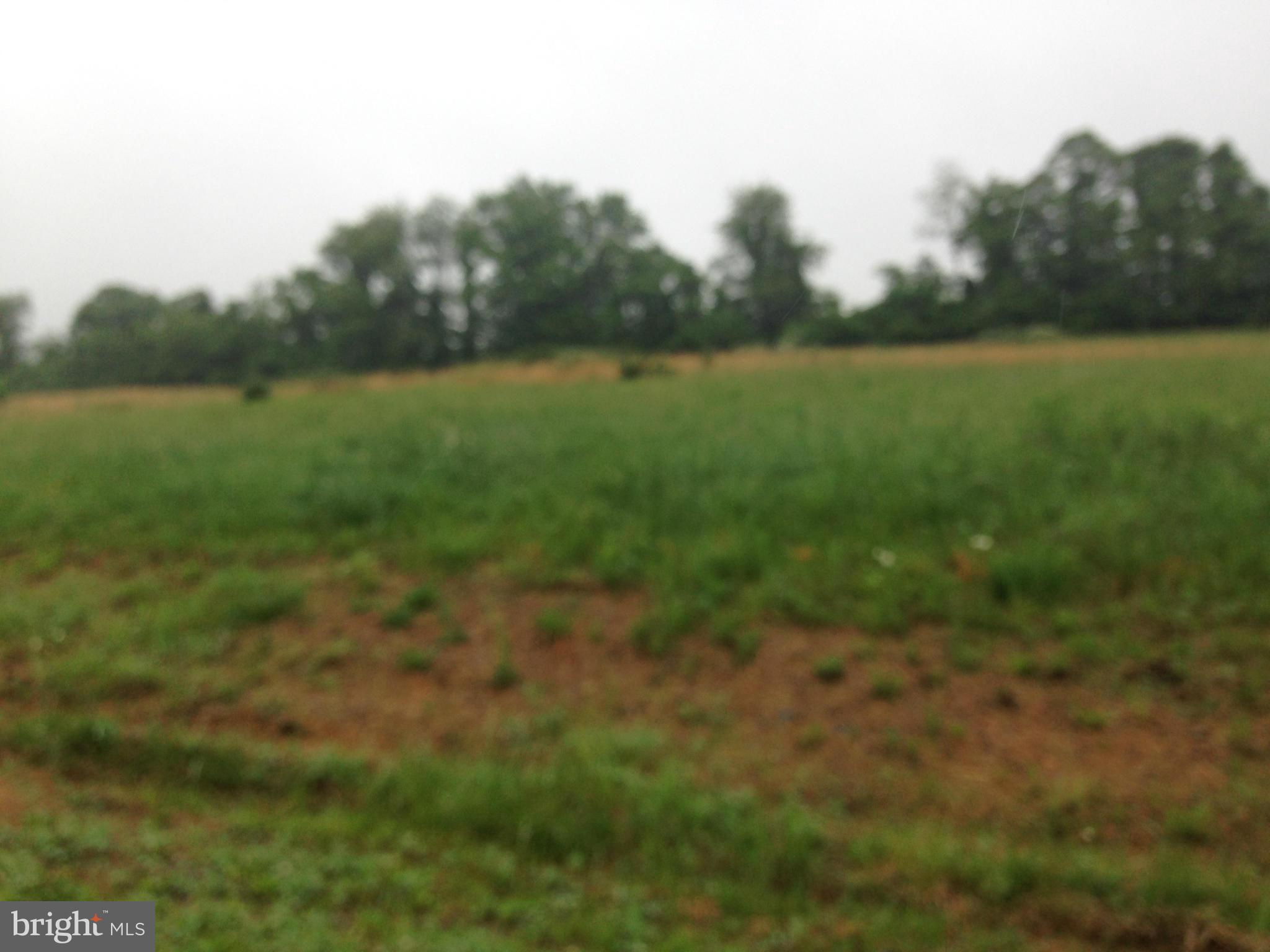 WILLOW BROOK ESTATES - Land