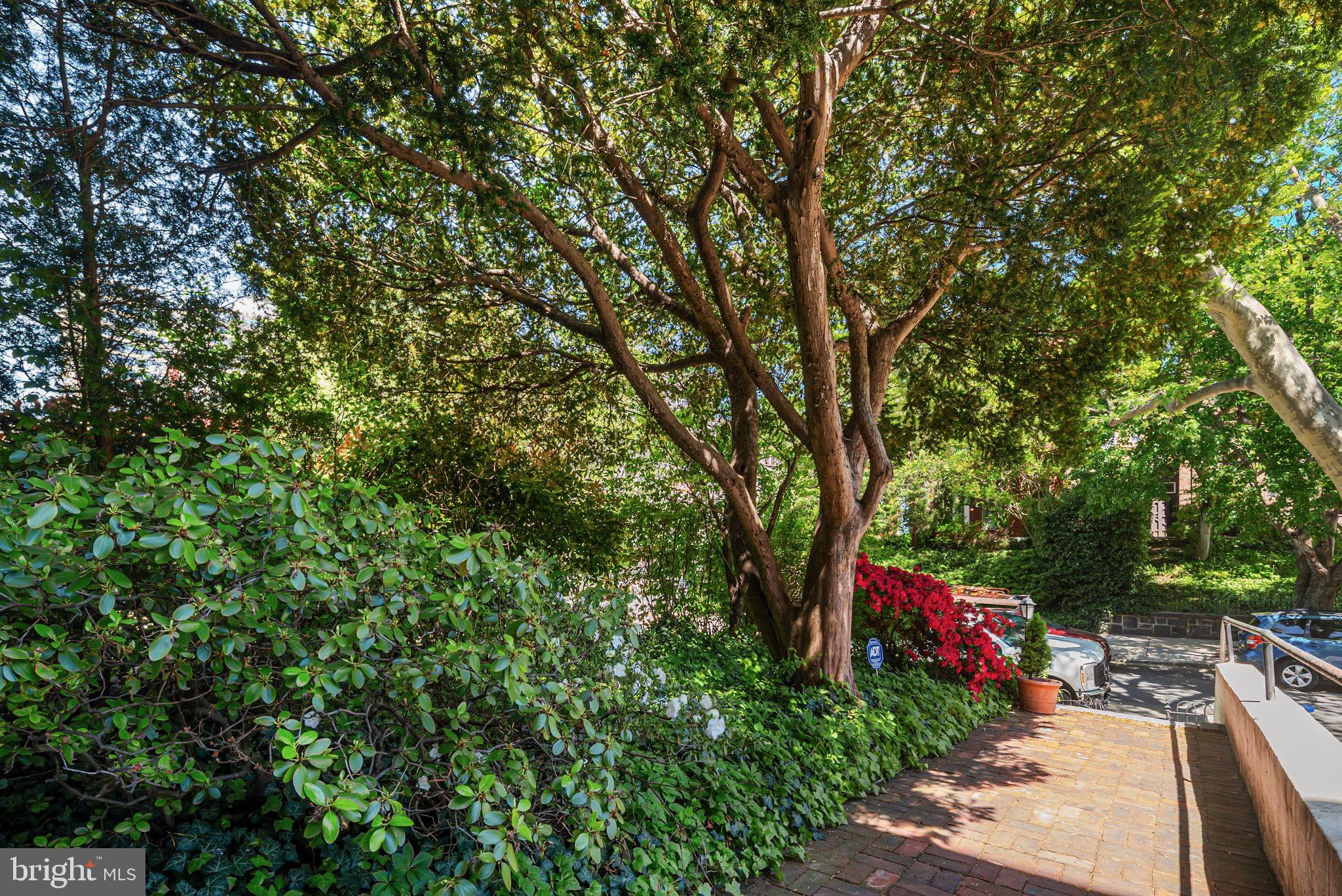 SPRING GARDEN - Residential