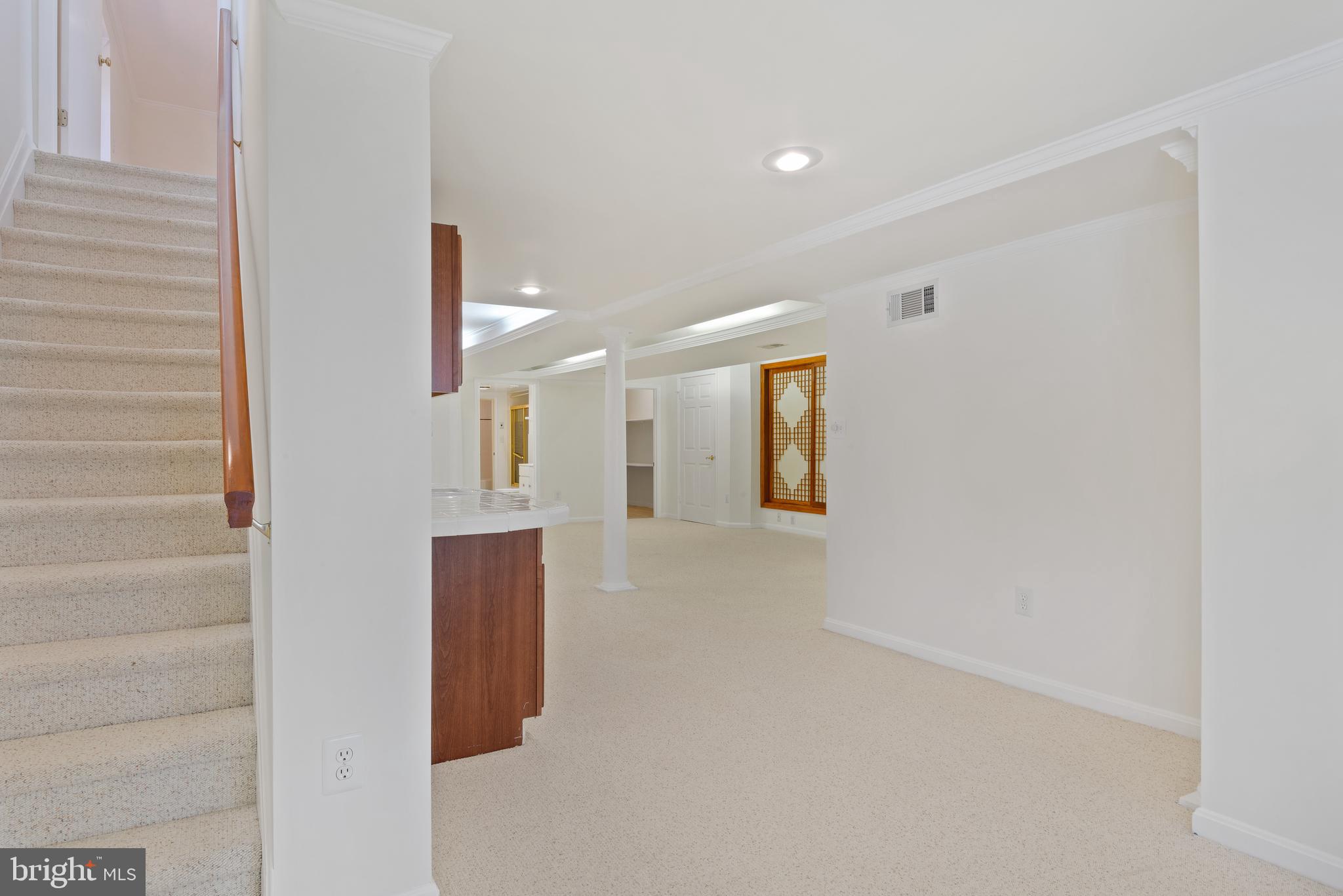 WILLIAMSBURG VILLAGE - Residential