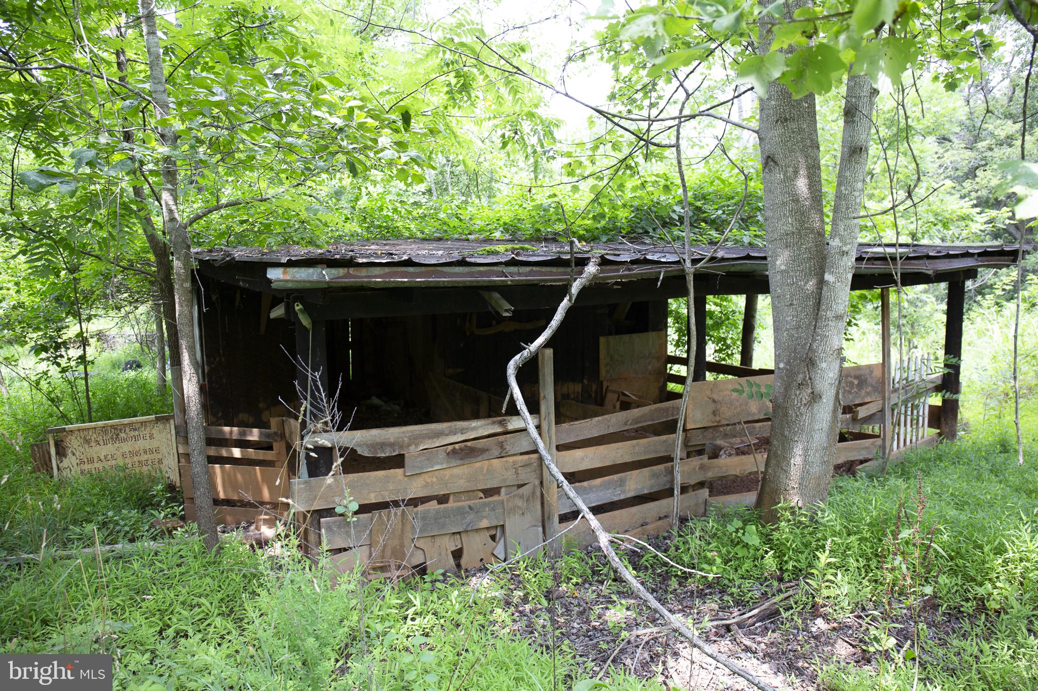 GUM SPRING - Land