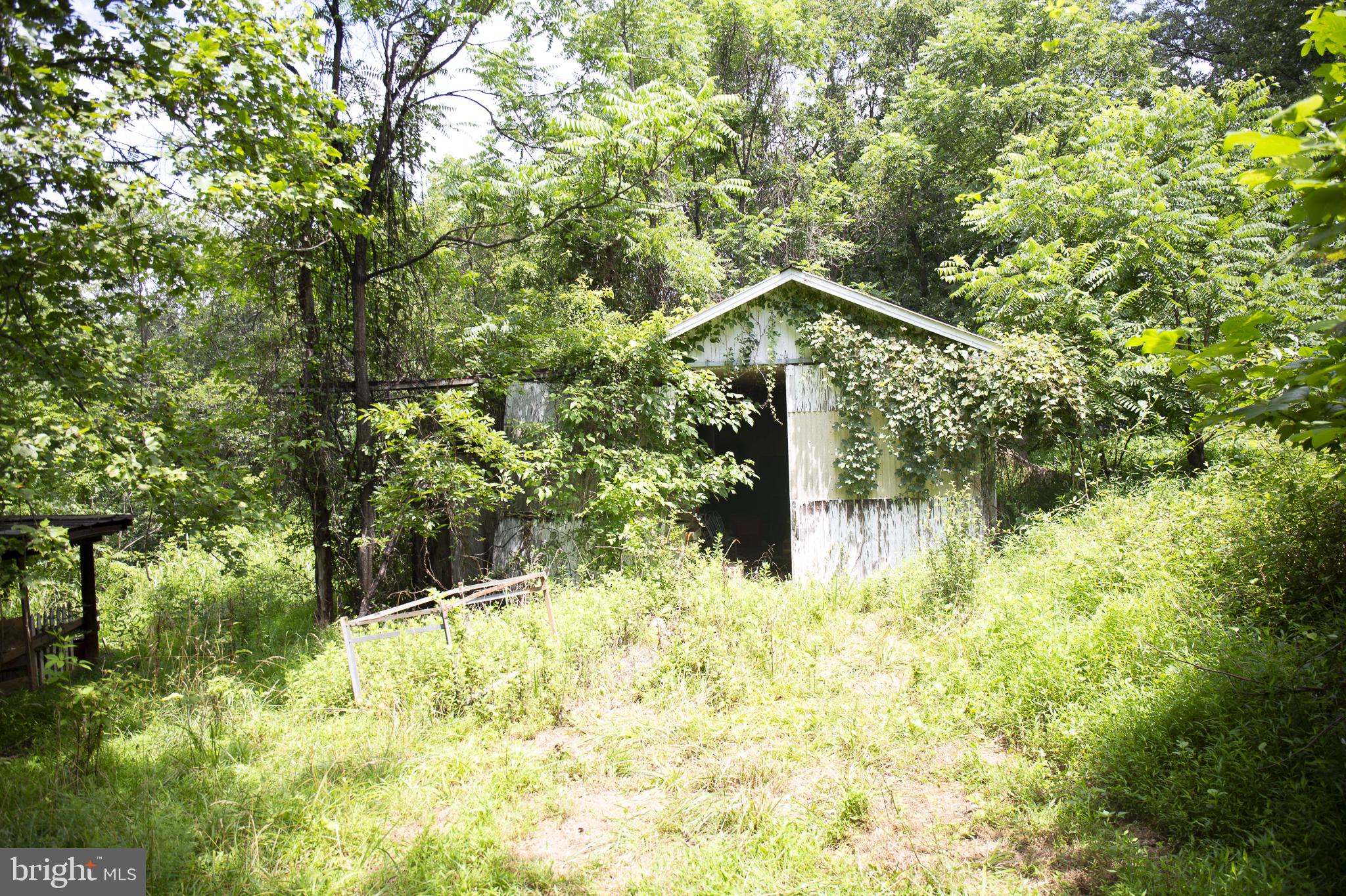 GUM SPRING - Land
