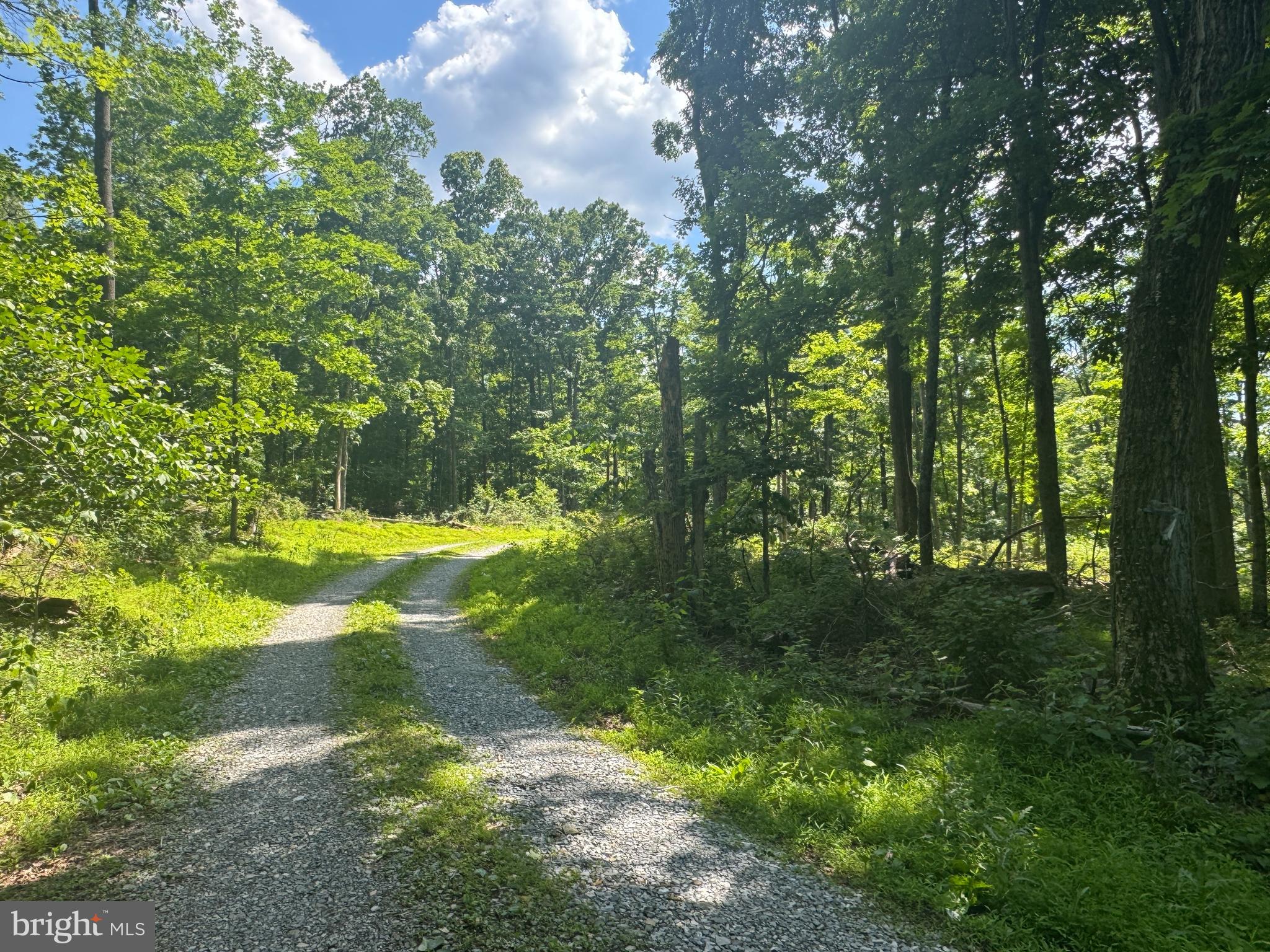 21.38 acre lot with direct road frontage.  This lot has electric at the site and there is a shared driveway in place. Do not miss this opportunity to own over 21 acres in Frederick County, MD!