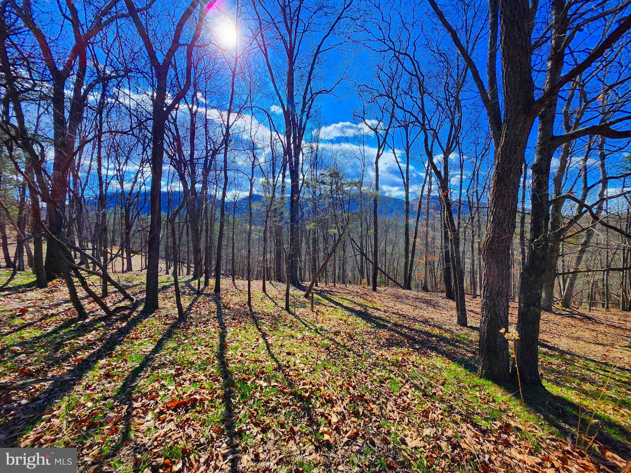 OLD MOUNTAIN RUN - Land