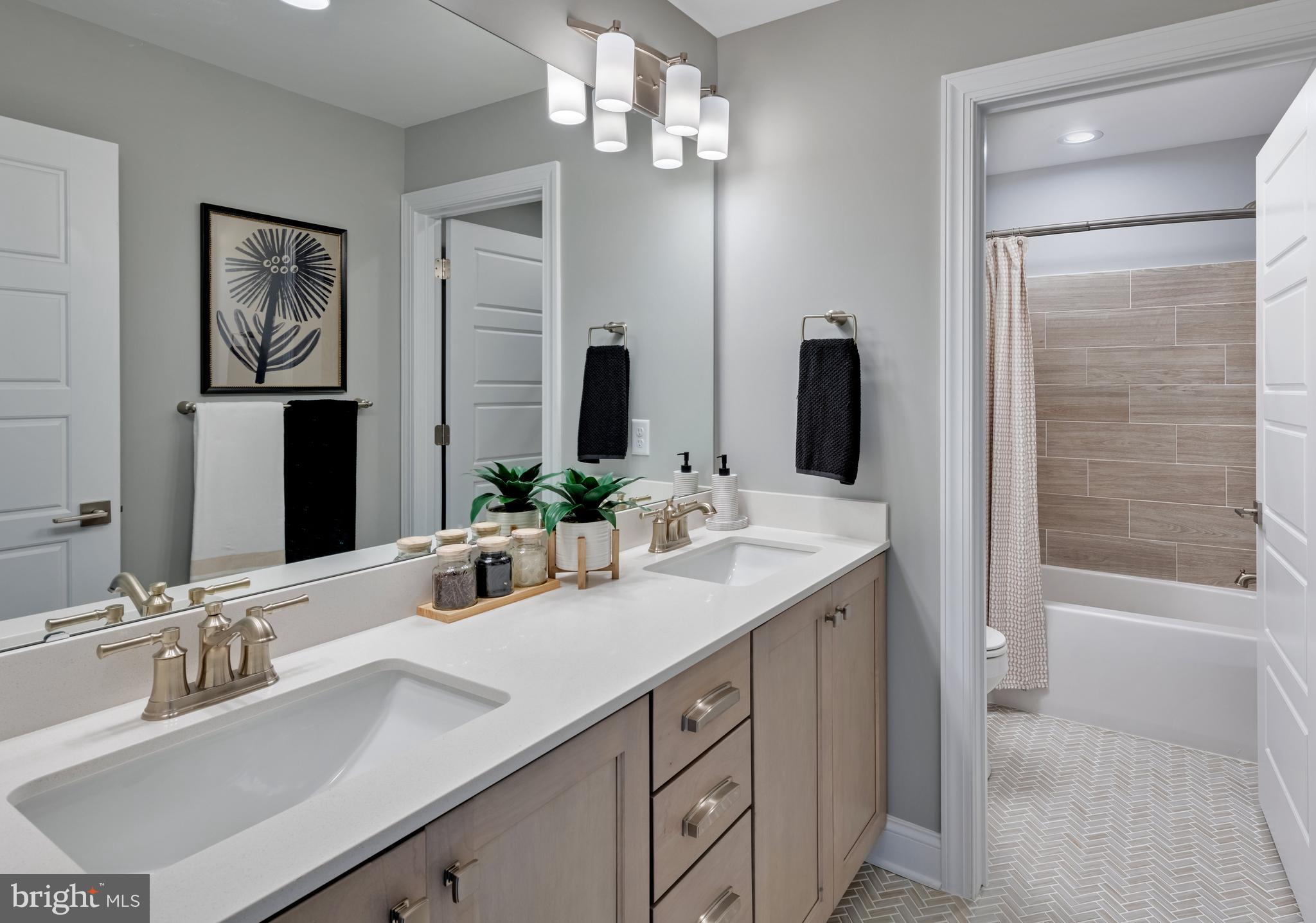 SERENITY AT CUBBAGE POND - Residential
