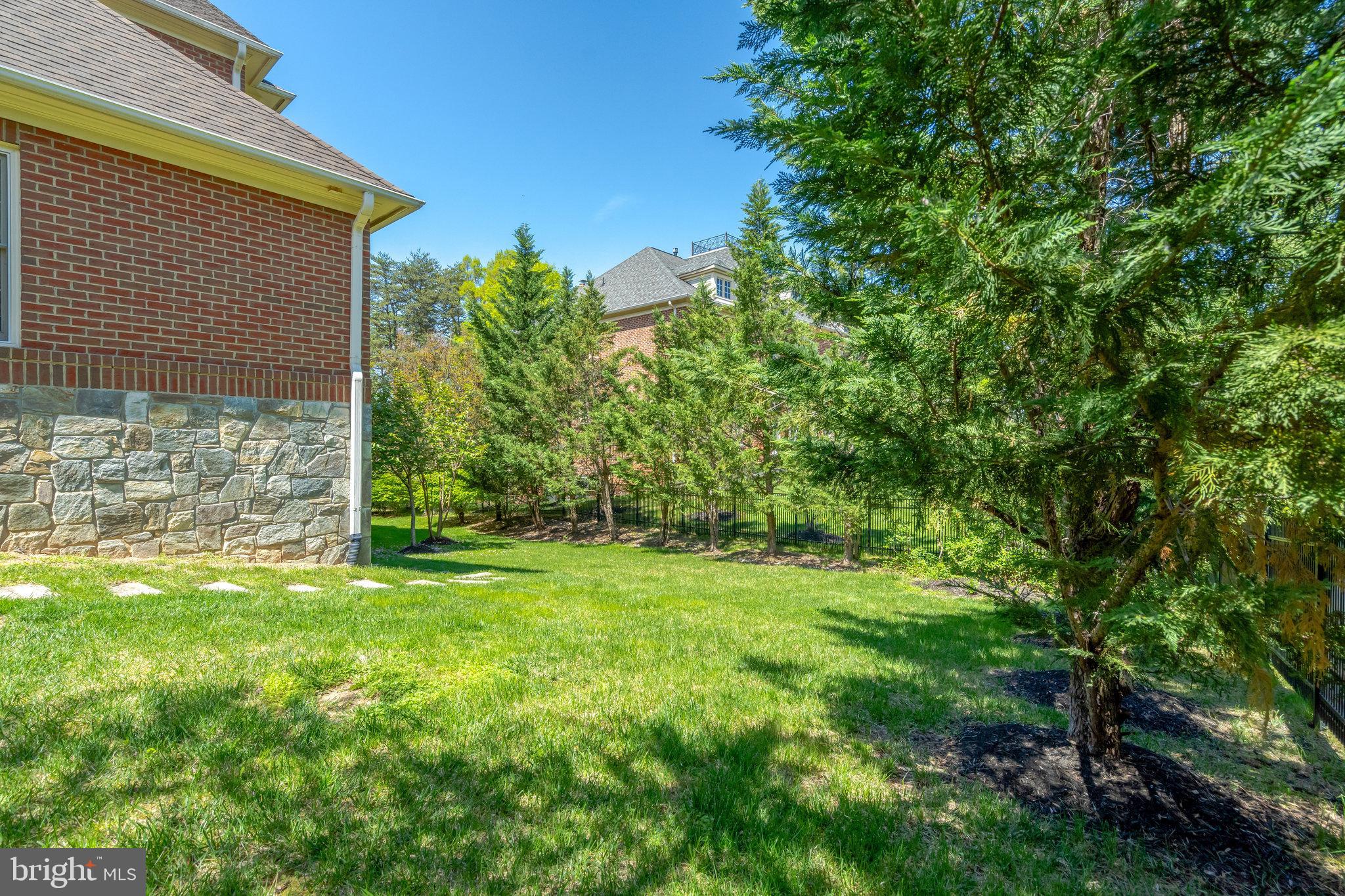 POPLAR TREE - Residential