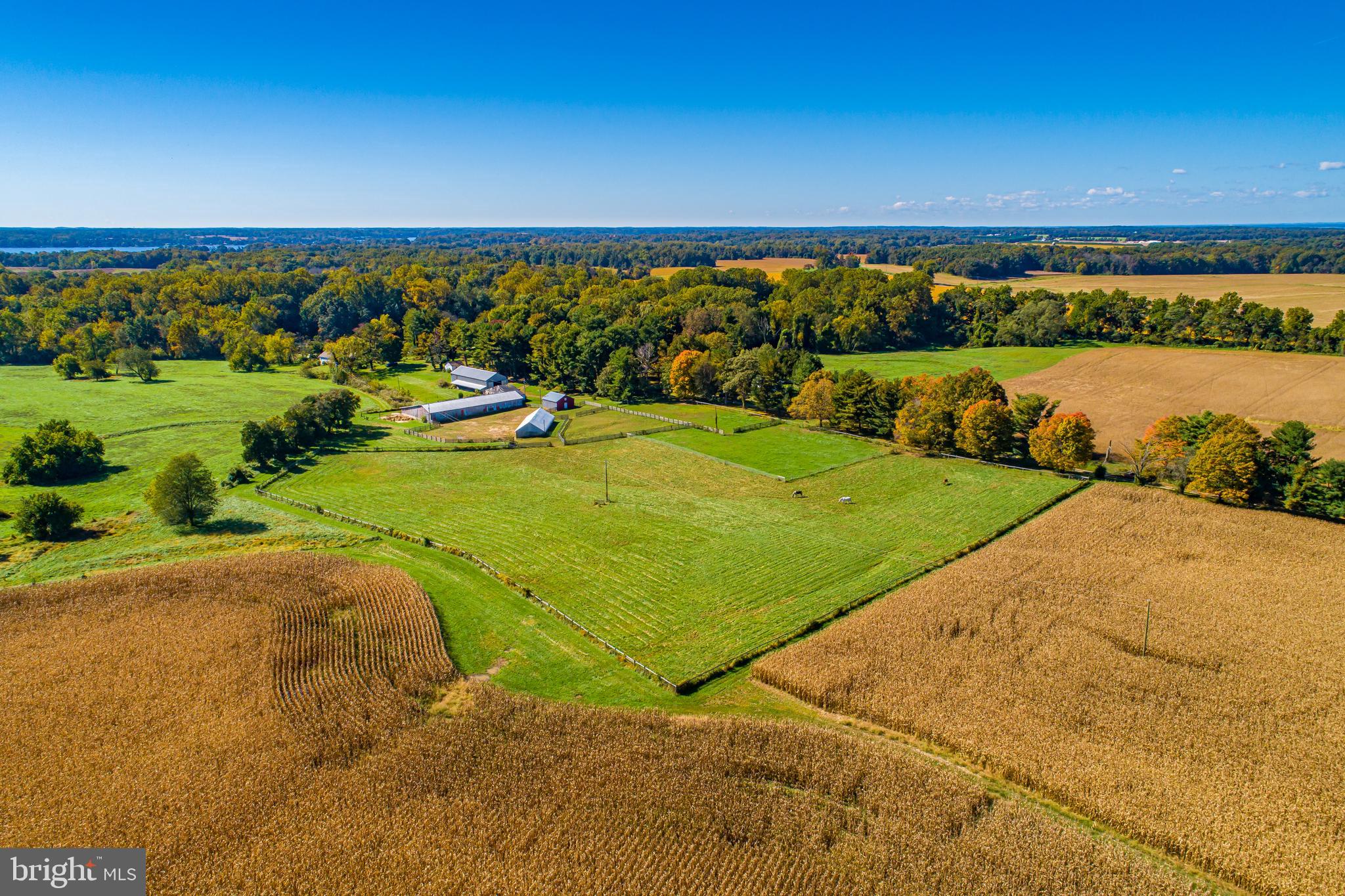 EARLEVILLE - Farm