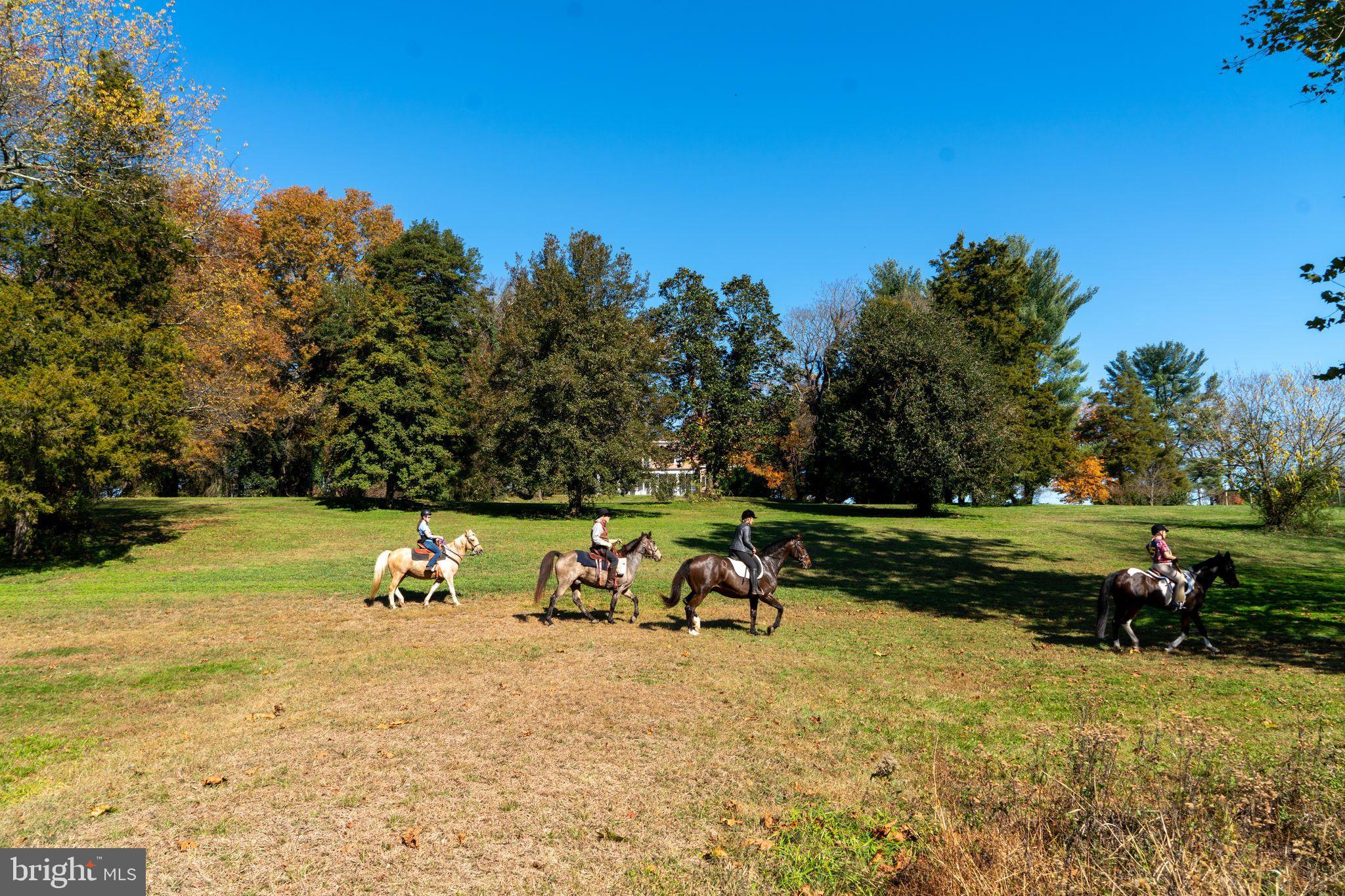 EARLEVILLE - Farm