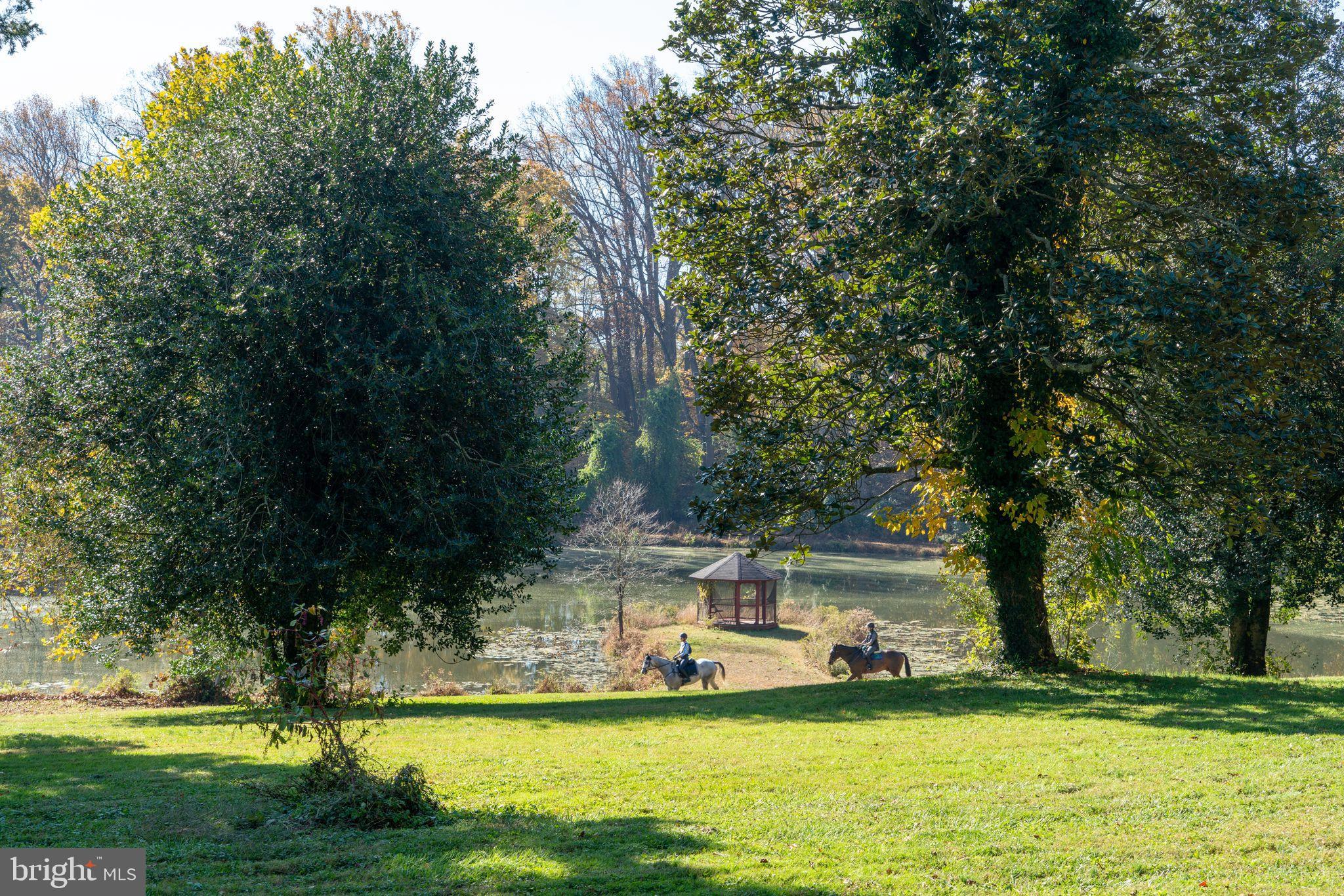 EARLEVILLE - Farm