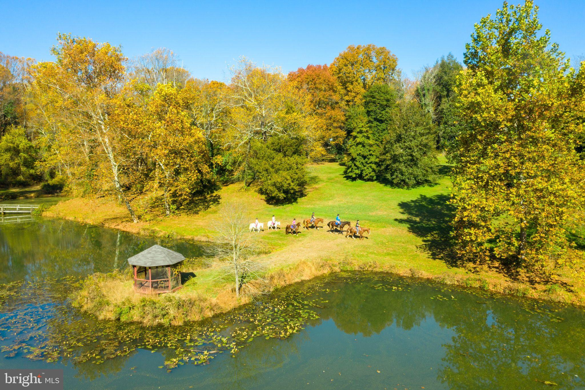 EARLEVILLE - Farm