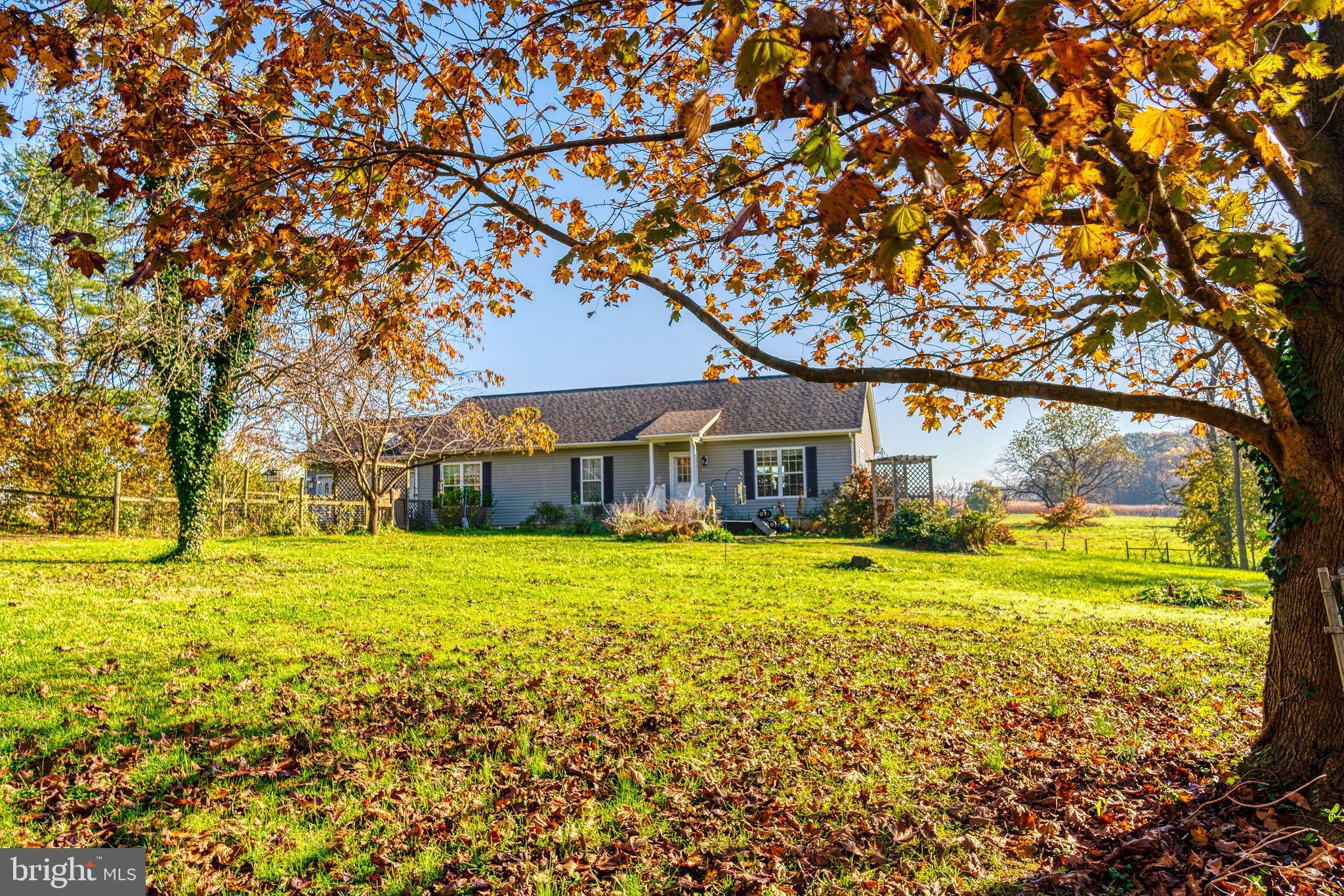 EARLEVILLE - Farm