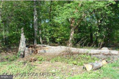 Current verbal enquiries with county indicate possible 3 lot subdivision. Land was approved for subdivision into three lots by County in 2008, but was never finalized. Great opportunity to develop homes in College Park Woods. Land has easement for underground AT&T phone line. All buyers to do their own due diligence with all relevant authorities.