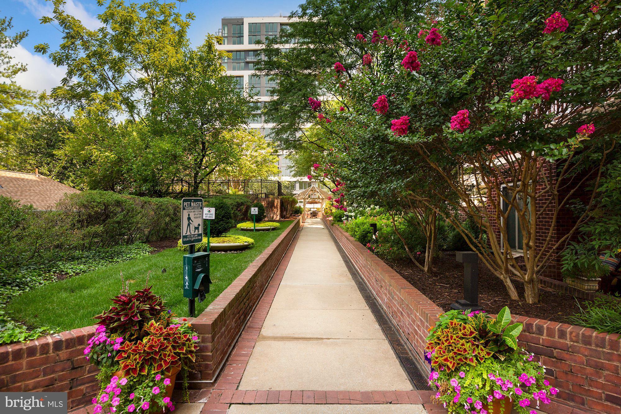 DOWNTOWN BETHESDA - Residential