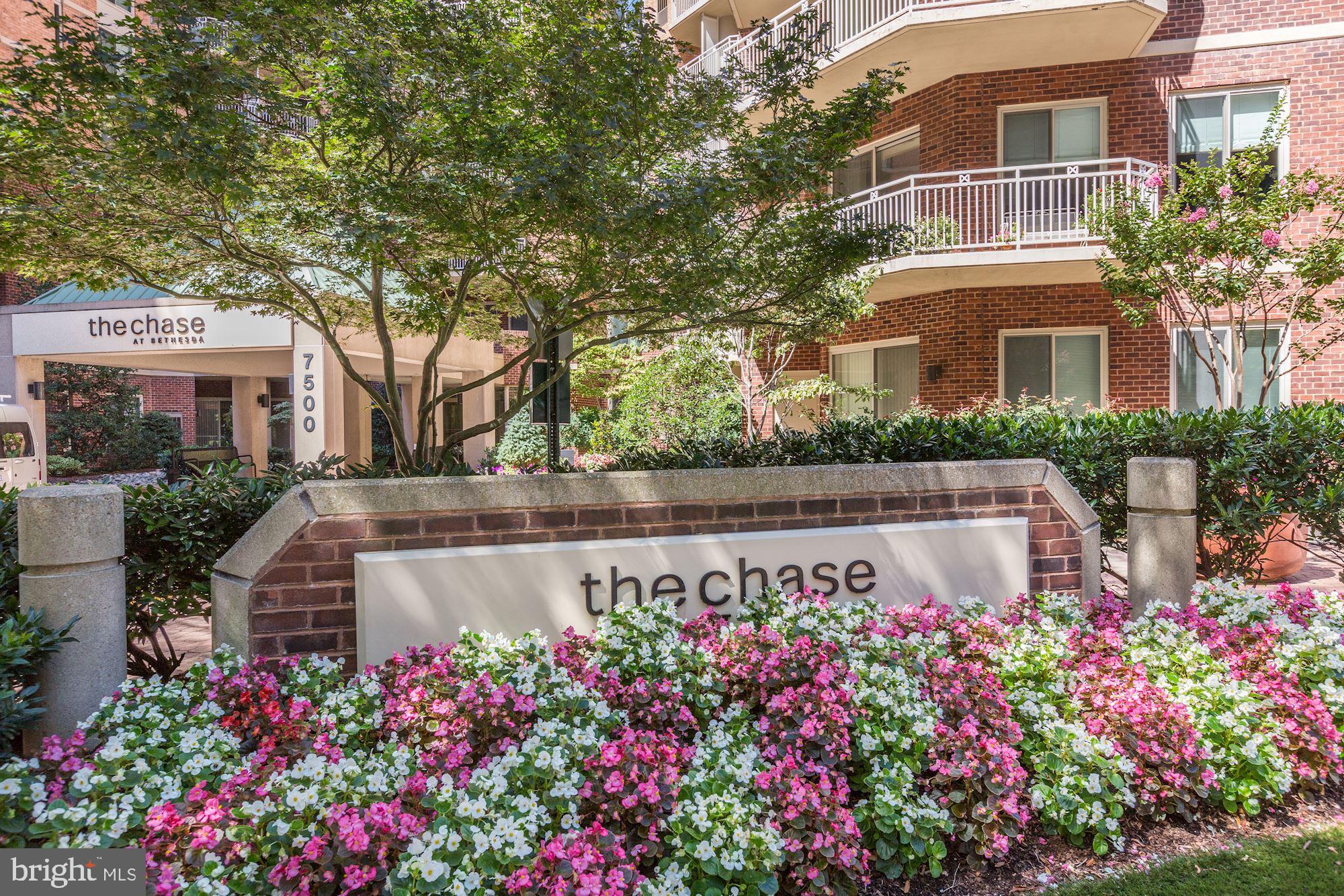 DOWNTOWN BETHESDA - Residential