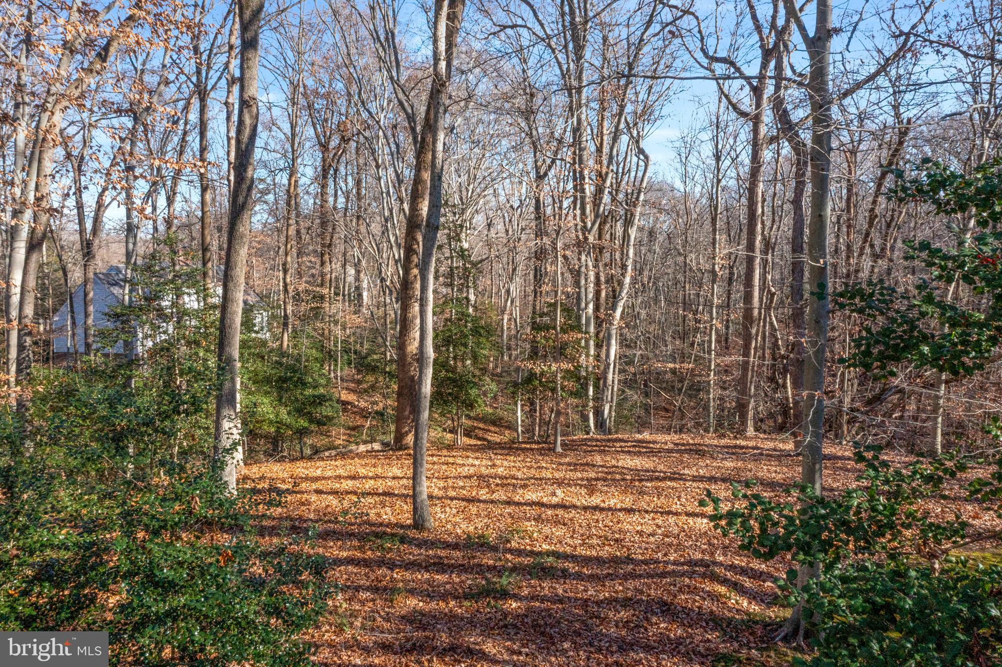 BELVOIR FARMS - Residential