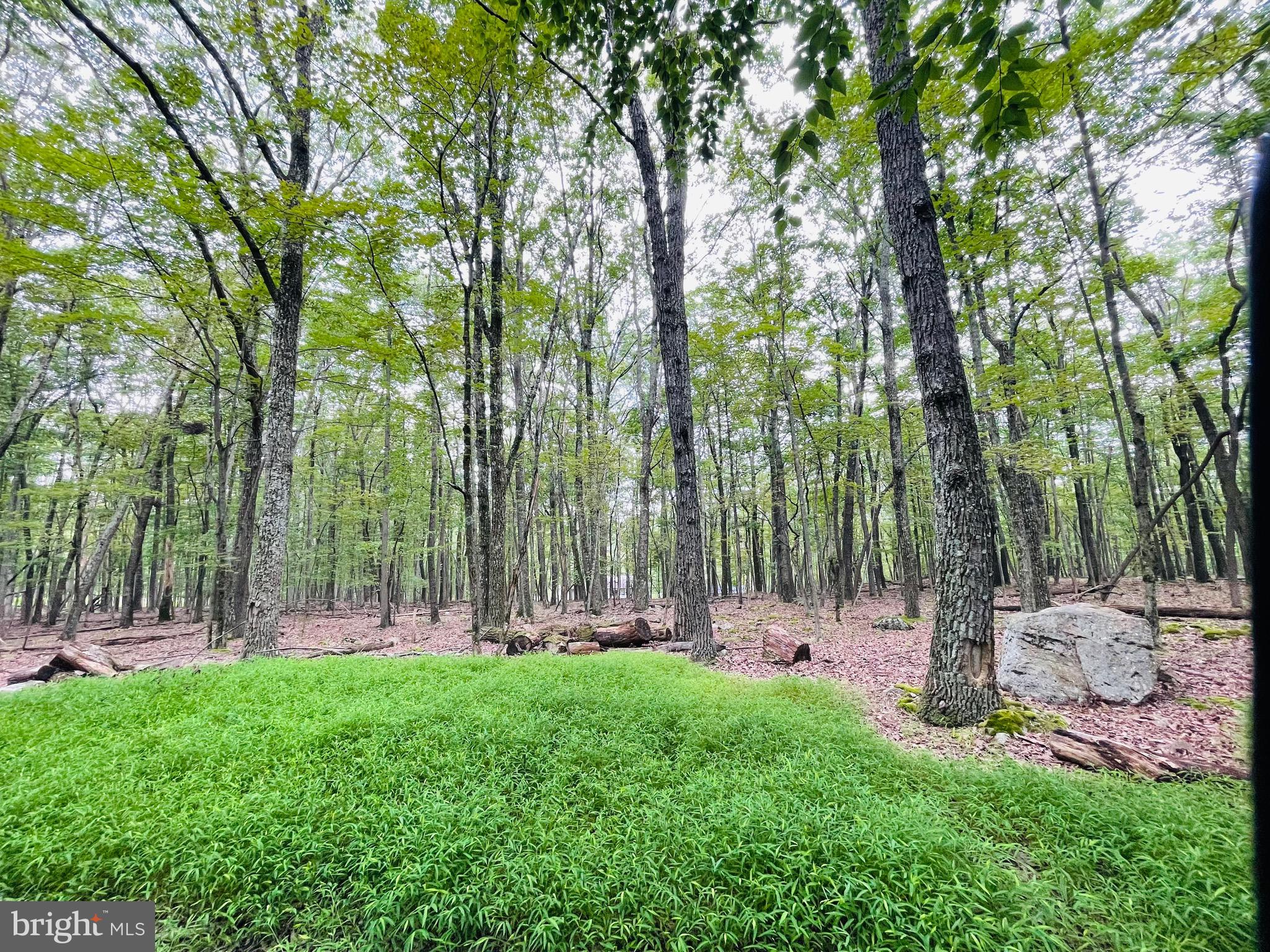 Price reduced for quick sale!  If you are thinking of building this year or in the next few years, let's secure your lot today!  YOU CAN'T BEAT THIS PRICE for a lot with public water and public sewer available!  Gorgeous level building lot on a low-traveled street.  Tranquility best describes the feeling of this location!  The Cove Village Community is situated in the foothills of the Poconos and only 1 1/2 hours to New York,  With easy access to I-81 your commute to Hazleton, Wilkes Barre, or Scranton is a breeze.  Bring your own builder and let's get started.   Another cost-saving perc of the community is having public water and sewer already in place and ready for you to connect through Aqua of Pa.   750 acres of unoccupied prime hunting, ATV, and snowmobile riding land surround the residential portion of Cove Village and is allocated only for the residents of the community and their guests!  Driving through the community, the peace and tranquility will envelop you.  At any given moment the deer, turkey, and birds will entertain you in your own backyard.   Homes within the community vary from rustic cabins and chalets to traditional ranch or two-story homes and even exquisite new construction or dreamy mountain log homes.  There really is something for everyone.  The approximately 278 acres of residential homes and lots are occupied by full-time residents, part-time vacation homes, and even some snowbird second homes.  Cove Village offers an abundance of amenities including a swimming pool, stocked fishing lake, a basketball court, tennis courts, a volleyball court, 2 playgrounds, a baseball field, ATV paths, hunting, a mini golf course, walking paths, and year-round Community events.  I can't forget to mention the beautiful lodge ideal to rent for family gatherings.   This lot and community just might be exactly what you've been looking for.  Air B and B are not permitted. Camping on vacant lots is not permitted.  Mobile homes are not permitted.  The minimum square footage when building is 1400 square feet.  The community maintains the roads and snow removal.  Trash collection is also provided.   An appointment is required to view due to the gated community.  Call to schedule your tour today!