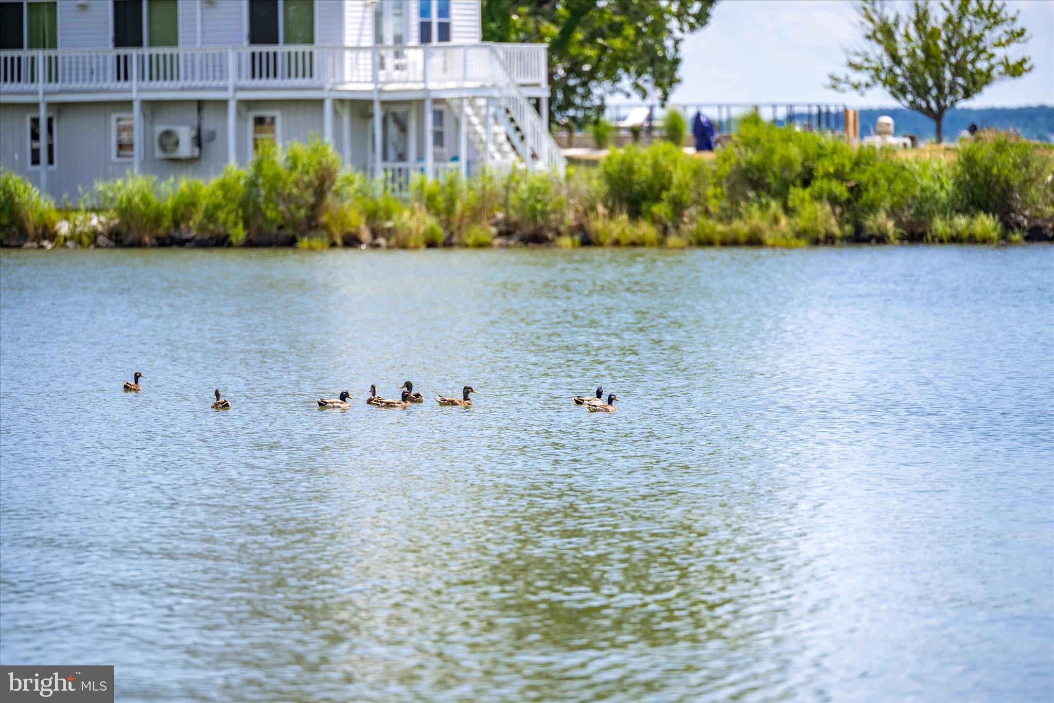 TILGHMAN ISLAND - Residential