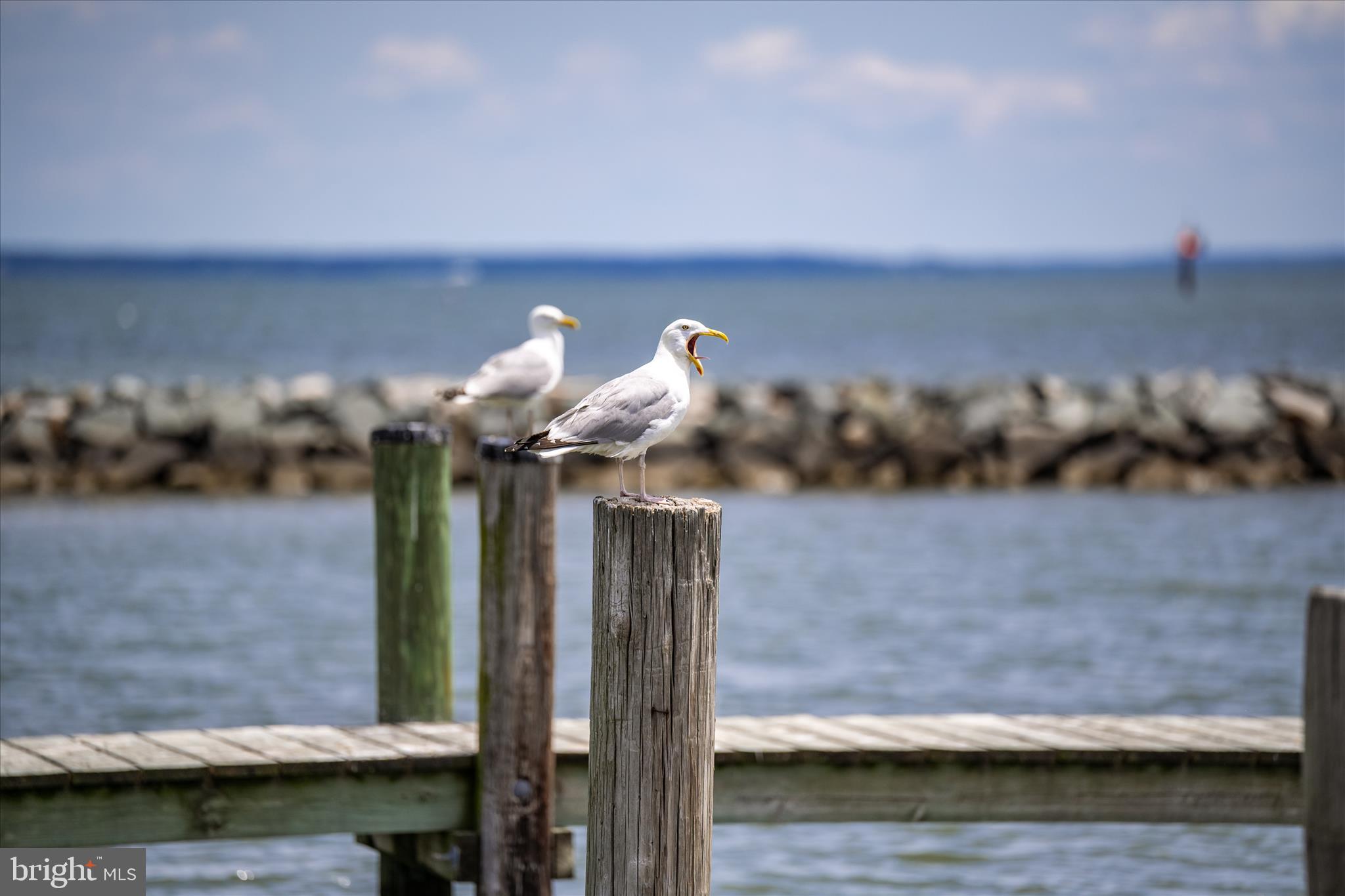 TILGHMAN ISLAND - Residential