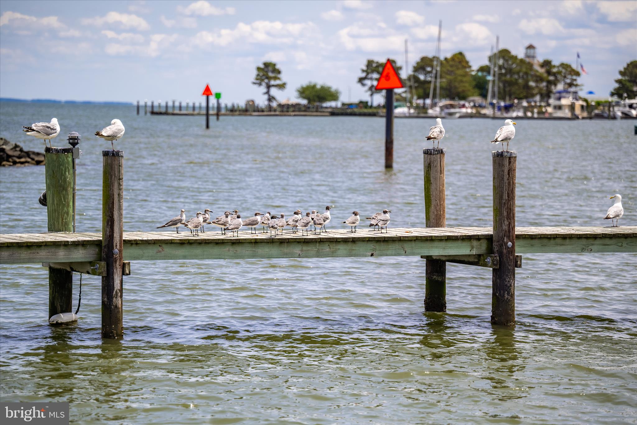 TILGHMAN ISLAND - Residential