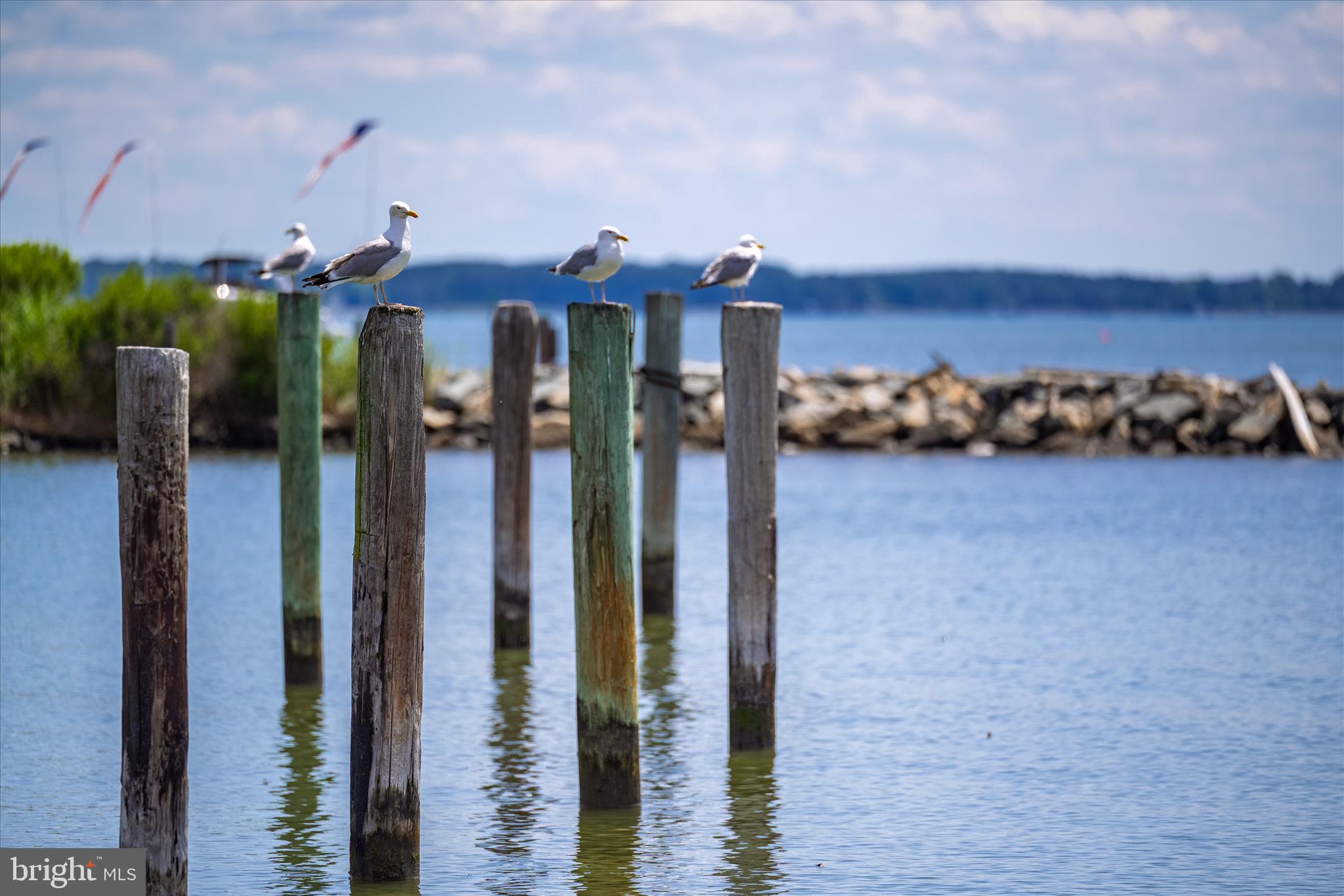 TILGHMAN ISLAND - Residential
