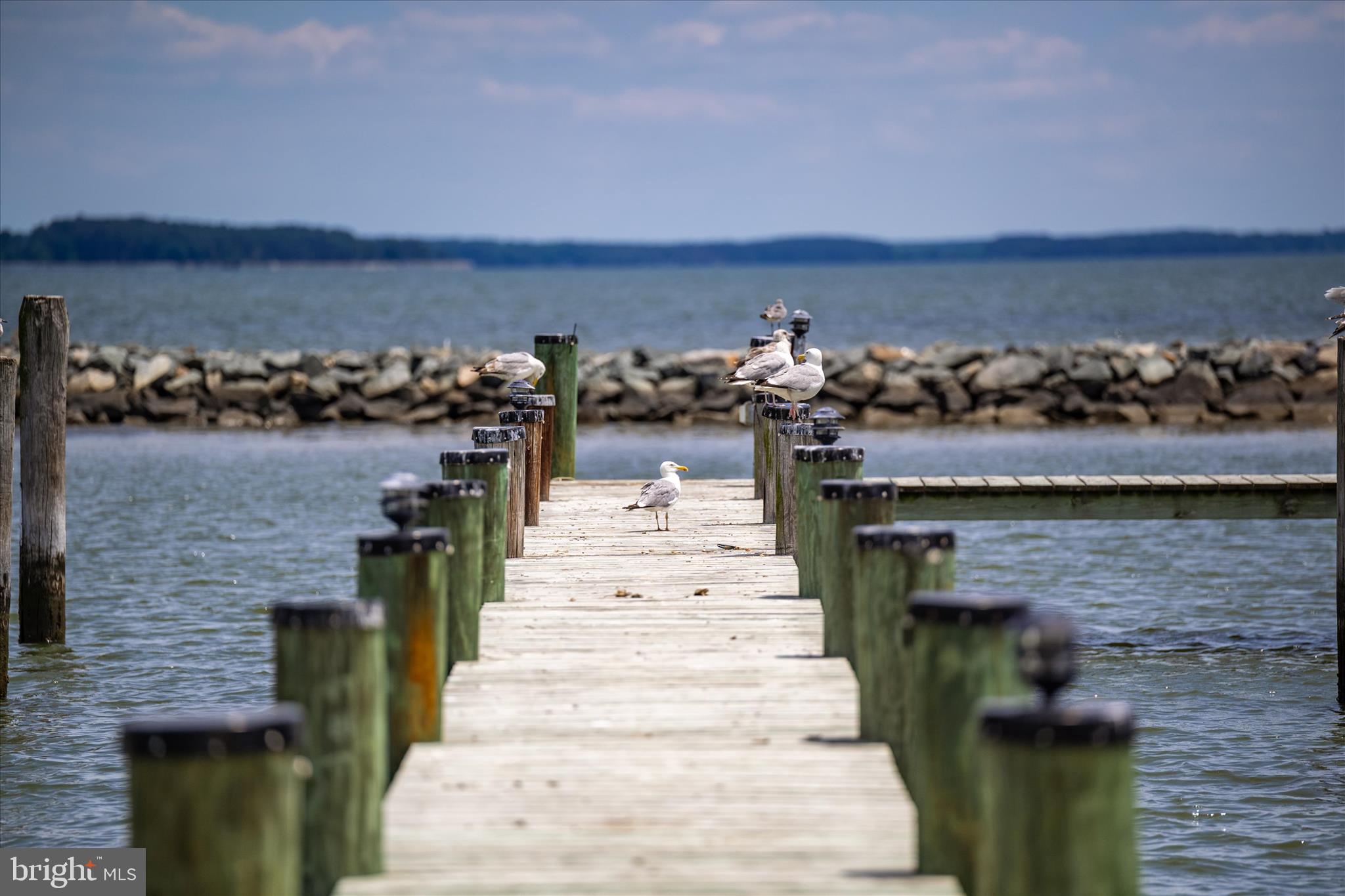TILGHMAN ISLAND - Residential