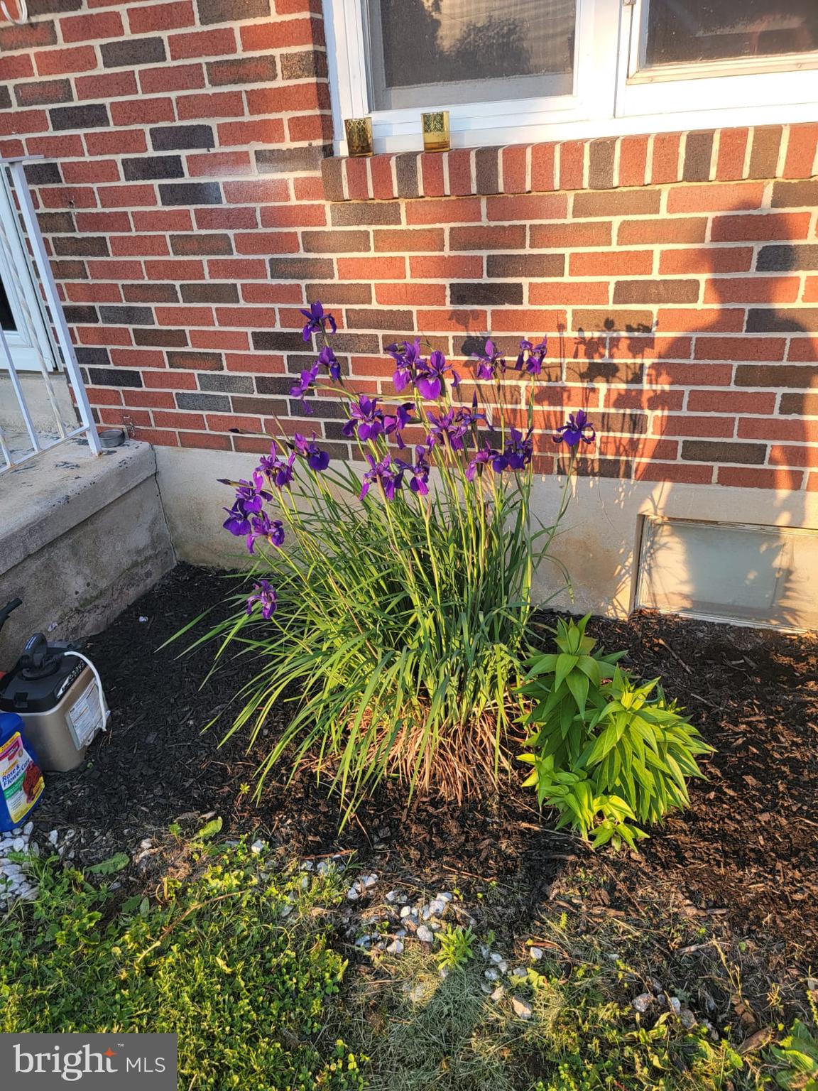 MUHLENBERG PARK - Residential