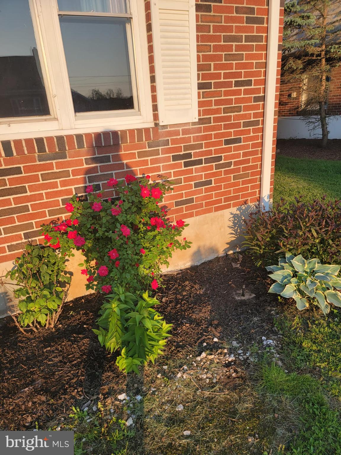 MUHLENBERG PARK - Residential