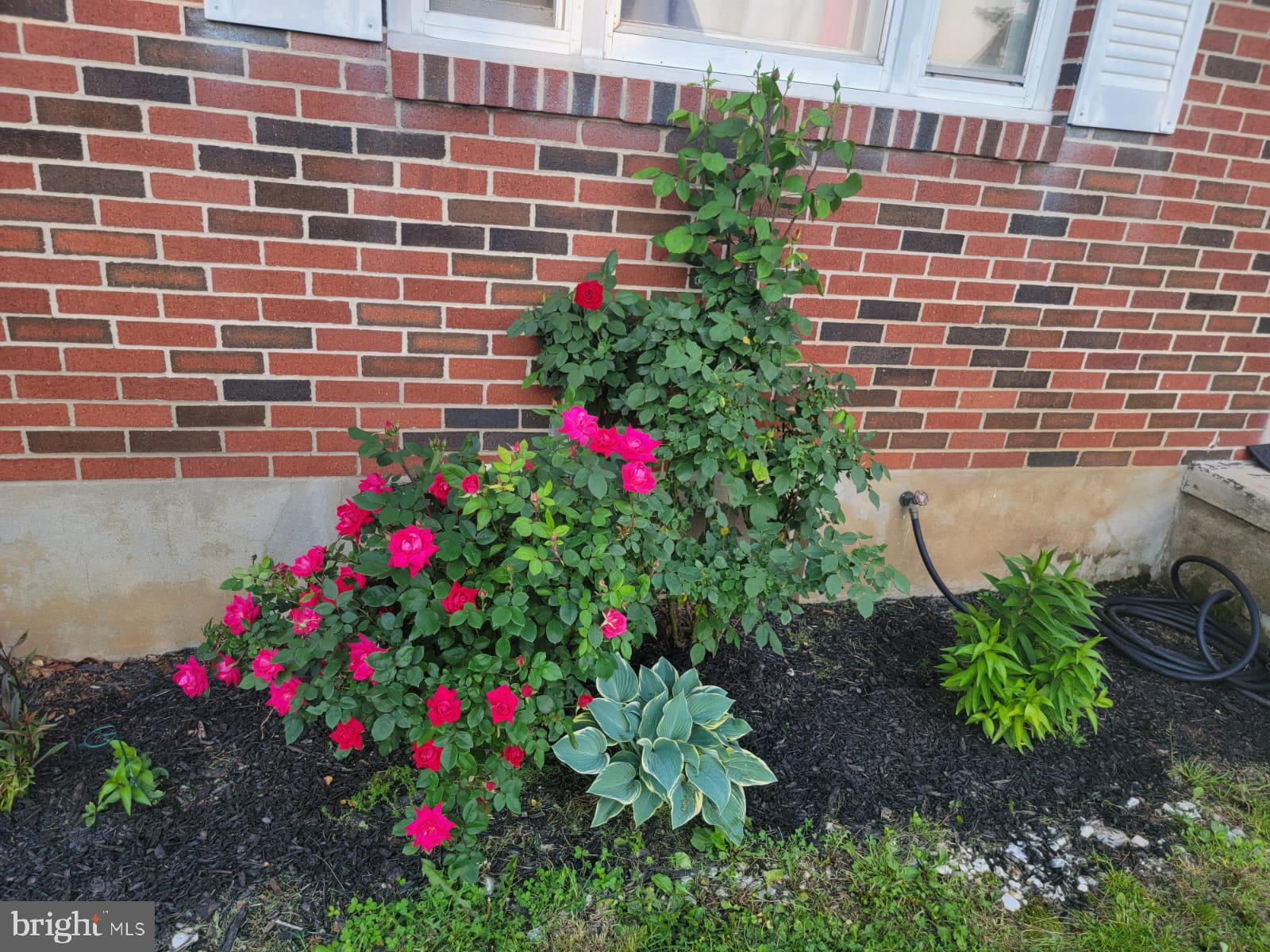 MUHLENBERG PARK - Residential