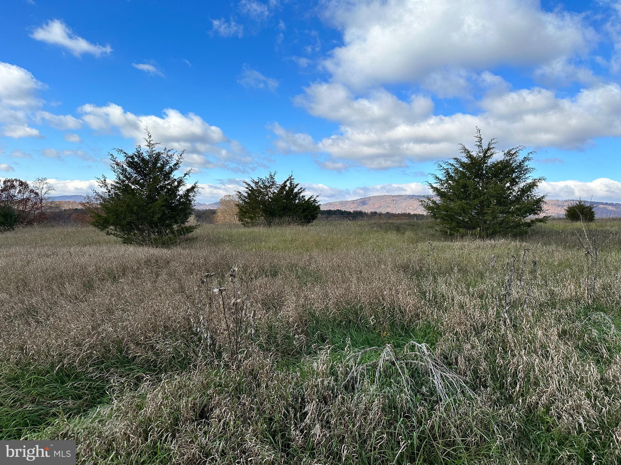 CEDAR LAKE - Land