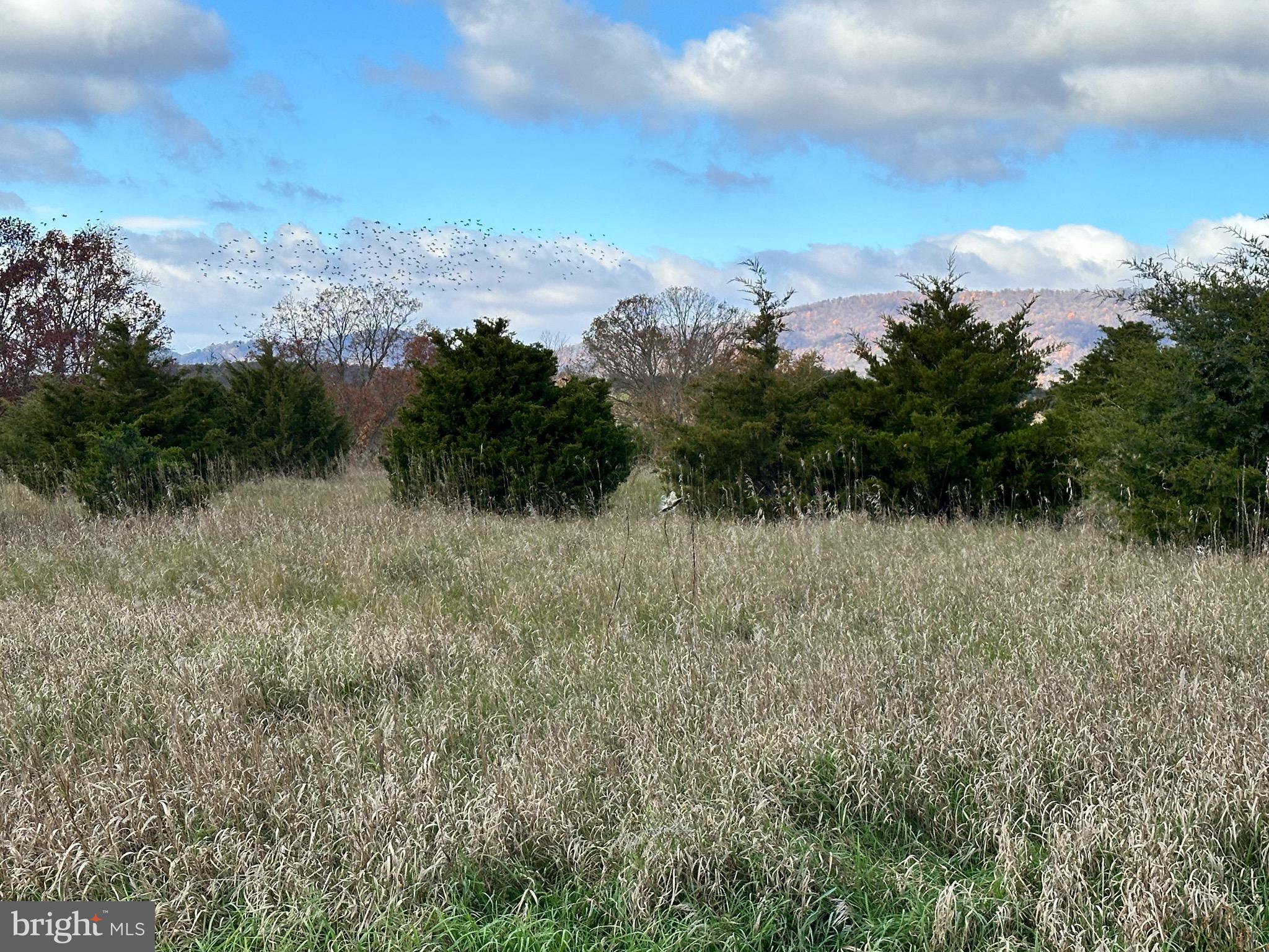 CEDAR LAKE - Land