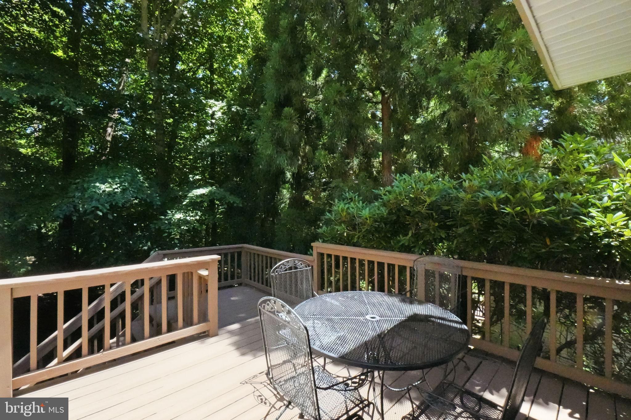 SOUTH RUN FOREST - Residential