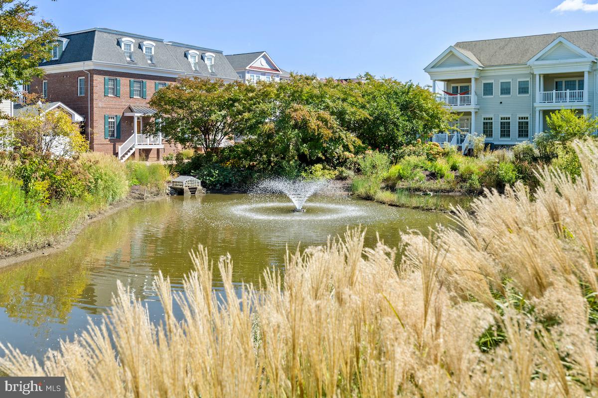 CHESTER RIVER LANDING - Commercial Sale