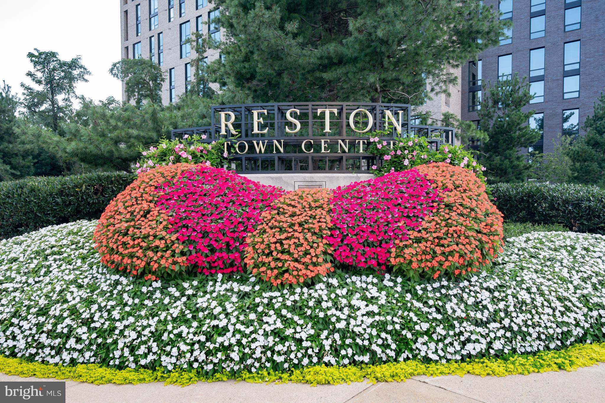 RESTON - Residential Lease