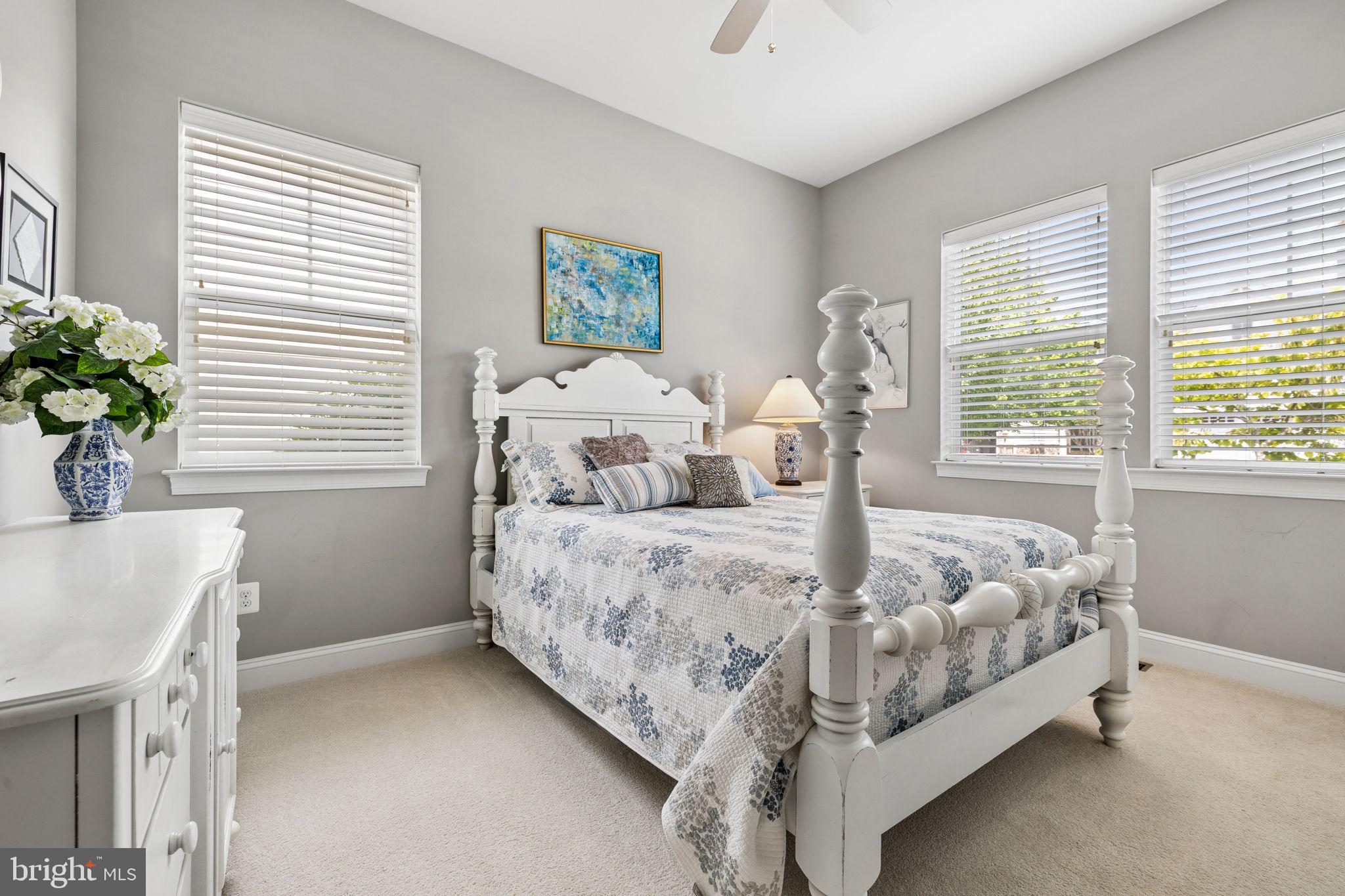 SHENANDOAH - Residential