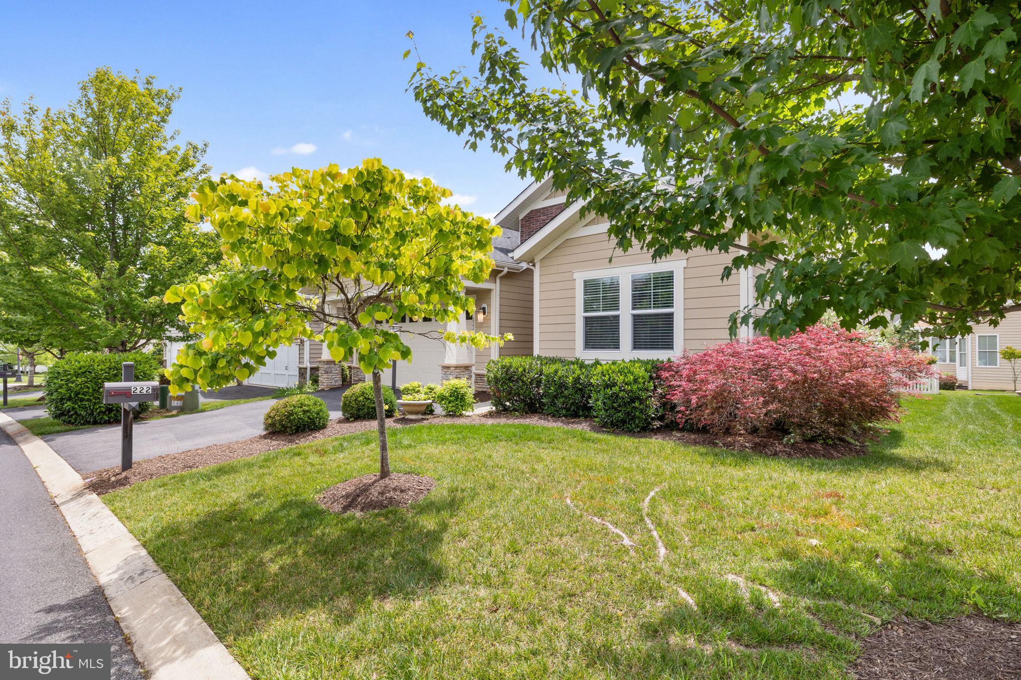 SHENANDOAH - Residential