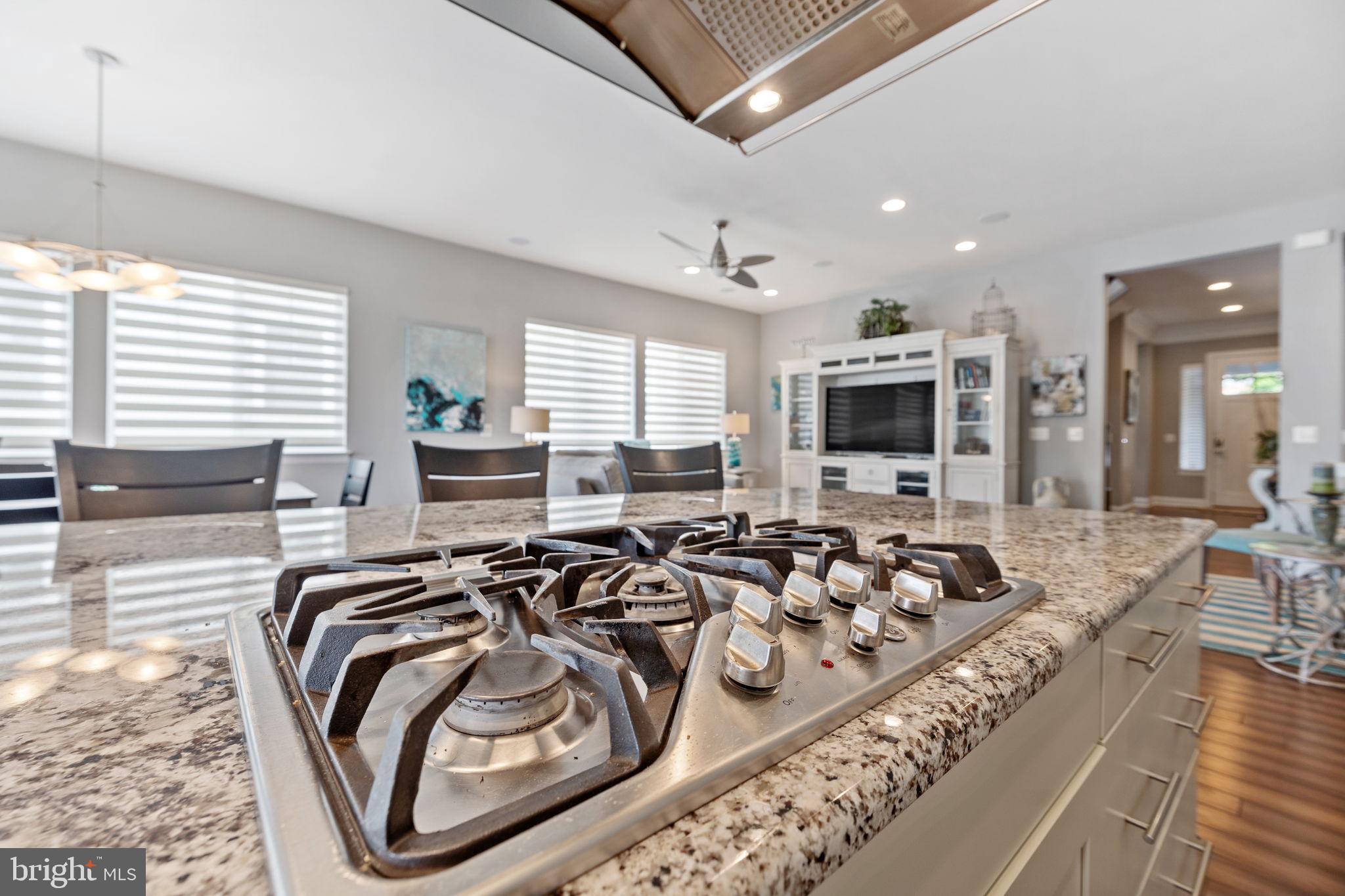 SHENANDOAH - Residential
