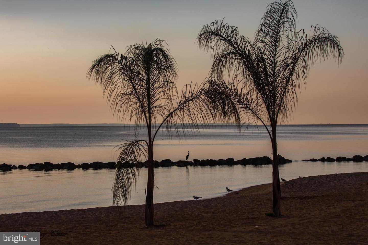 PLACID BAY ESTATES - Residential