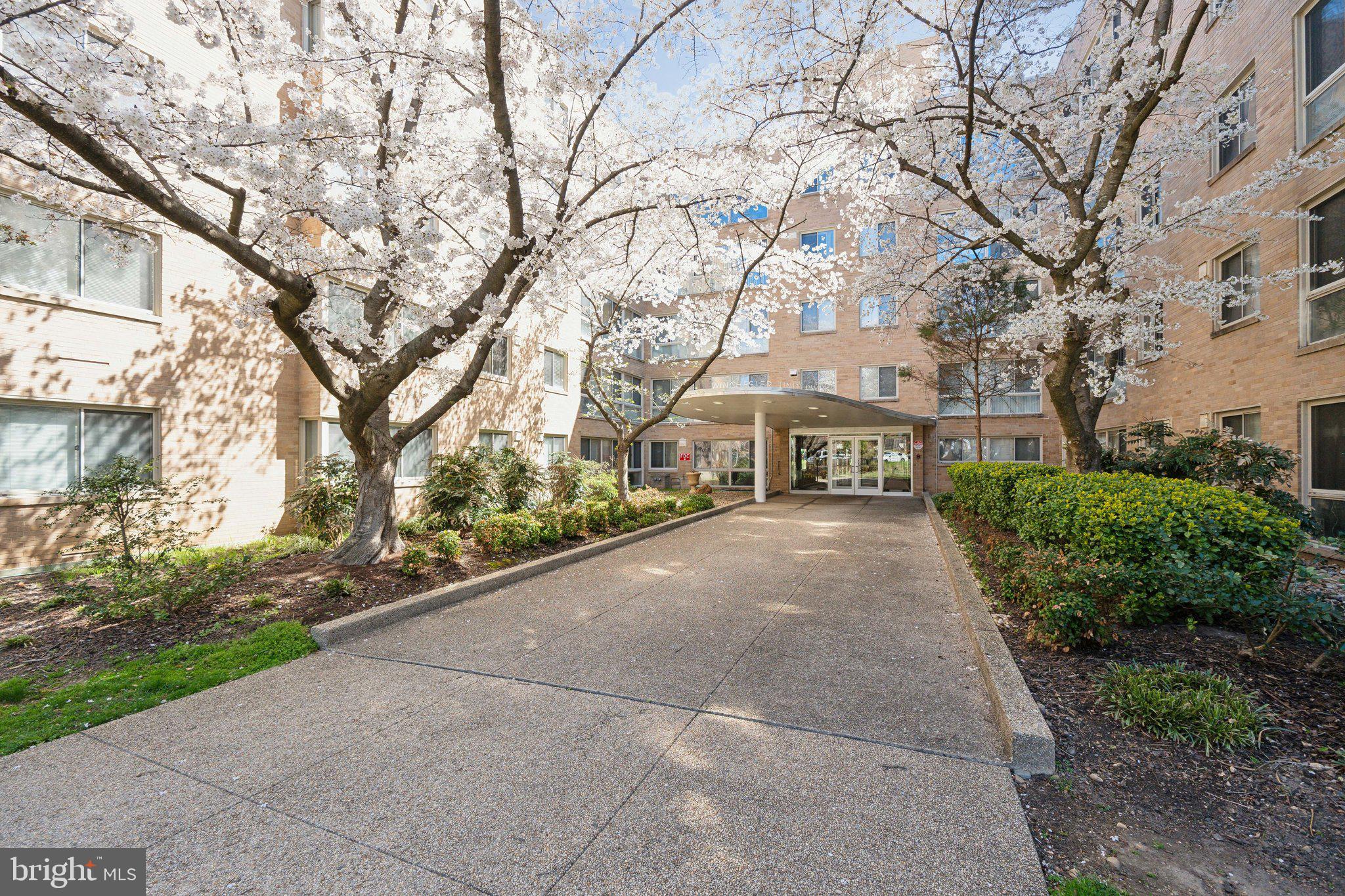 Welcome to 6445 Luzon Ave NW, Unit 109—a charming residence nestled in the serene Brightwood neighborhood of Washington, D.C. This delightful home offers a harmonious blend of comfort and convenience, making it an ideal choice for urban dwellers seeking tranquility without compromising on accessibility.

As you step inside, you're greeted by a spacious living area bathed in natural light, highlighting the timeless parquet flooring that adds warmth and character. The kitchen is thoughtfully designed with ample cabinetry and counter space, catering to both casual meals and gourmet endeavors. The bedroom serves as a peaceful retreat, offering generous closet space and a serene ambiance.

Beyond the comforts of the home, Brightwood presents a vibrant community rich in amenities. Nature enthusiasts will appreciate the proximity to Rock Creek Park, providing expansive green spaces, hiking trails, and recreational opportunities. The nearby Parks at Walter Reed development introduces a variety of retail and dining options, including a forthcoming Whole Foods Market, enhancing the neighborhood's appeal.

Commuters will find the location advantageous, with easy access to multiple Metro stations and bus lines, facilitating seamless travel throughout the city. Additionally, the neighborhood boasts a selection of schools, community centers, and local markets, fostering a well-rounded and engaging lifestyle.

Experience the perfect blend of urban convenience and neighborhood charm at 6445 Luzon Ave NW, Unit 109. Don't miss this opportunity to make this delightful residence your new home.