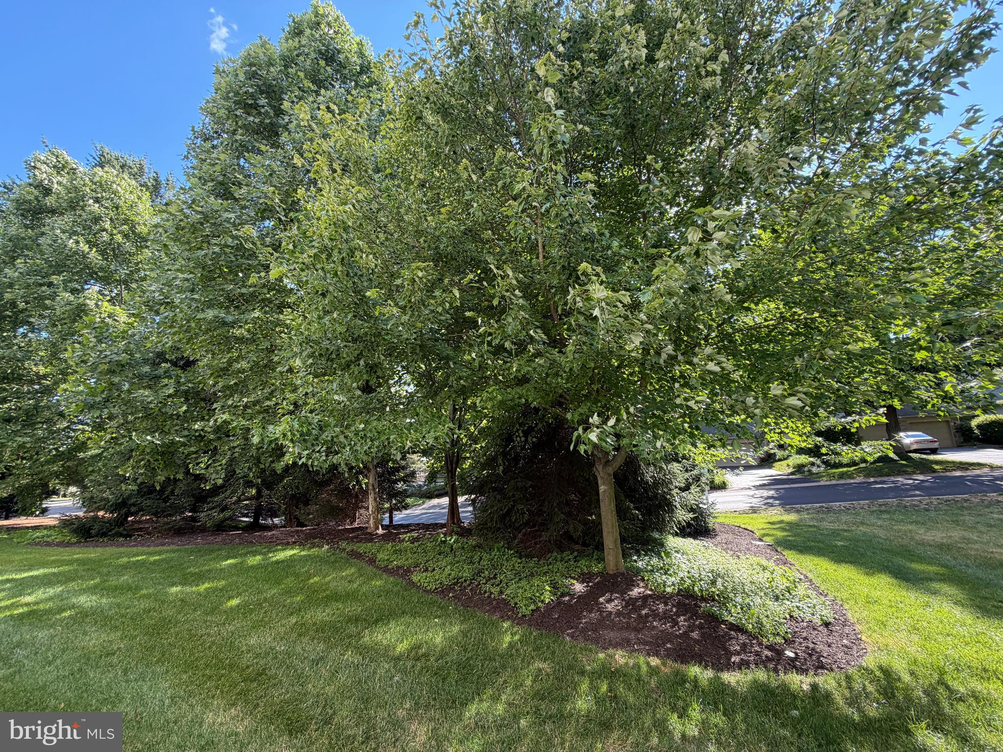 BREYER COURT - Residential