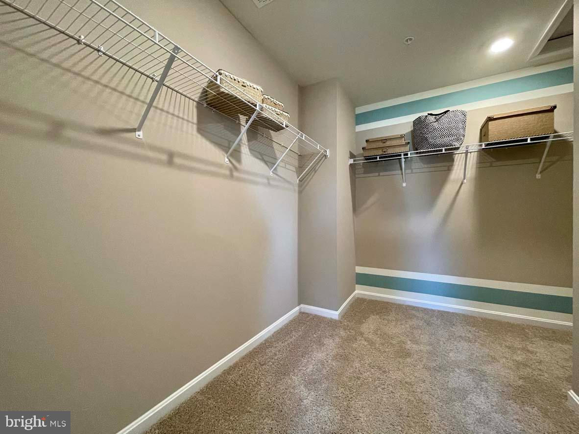 SASSAFRAS MEADOWS - Residential