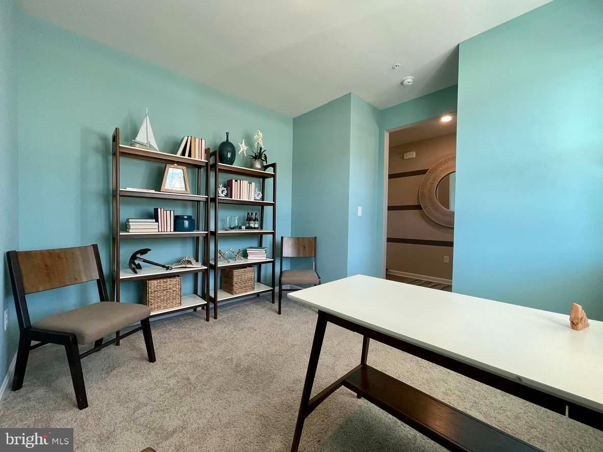 SASSAFRAS MEADOWS - Residential