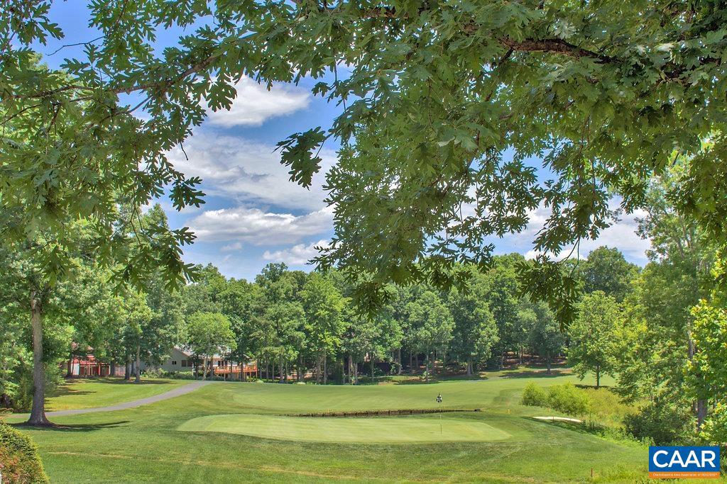 LAKE MONTICELLO - Residential
