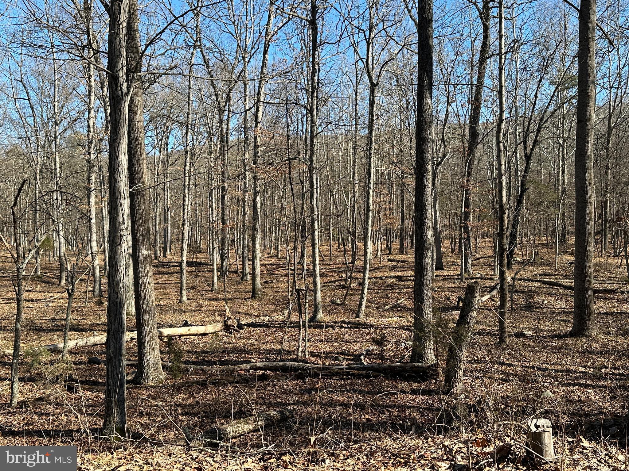 ASHTON WOODS - Land