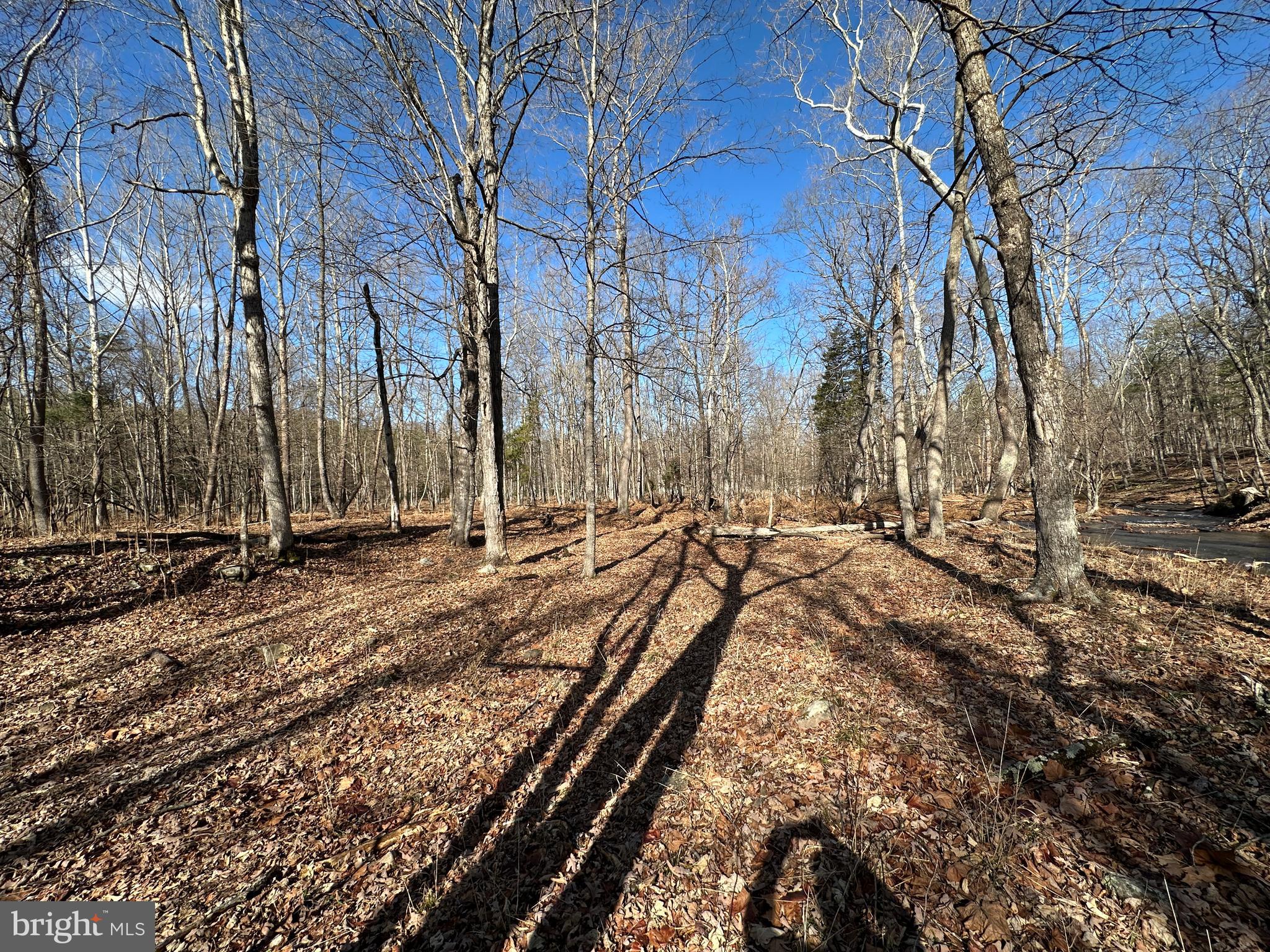 ASHTON WOODS - Land