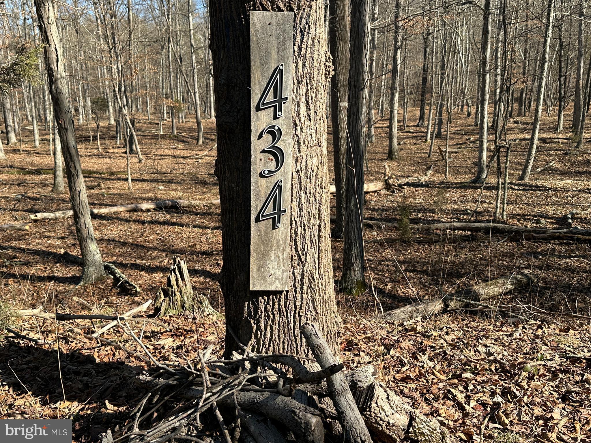 ASHTON WOODS - Land