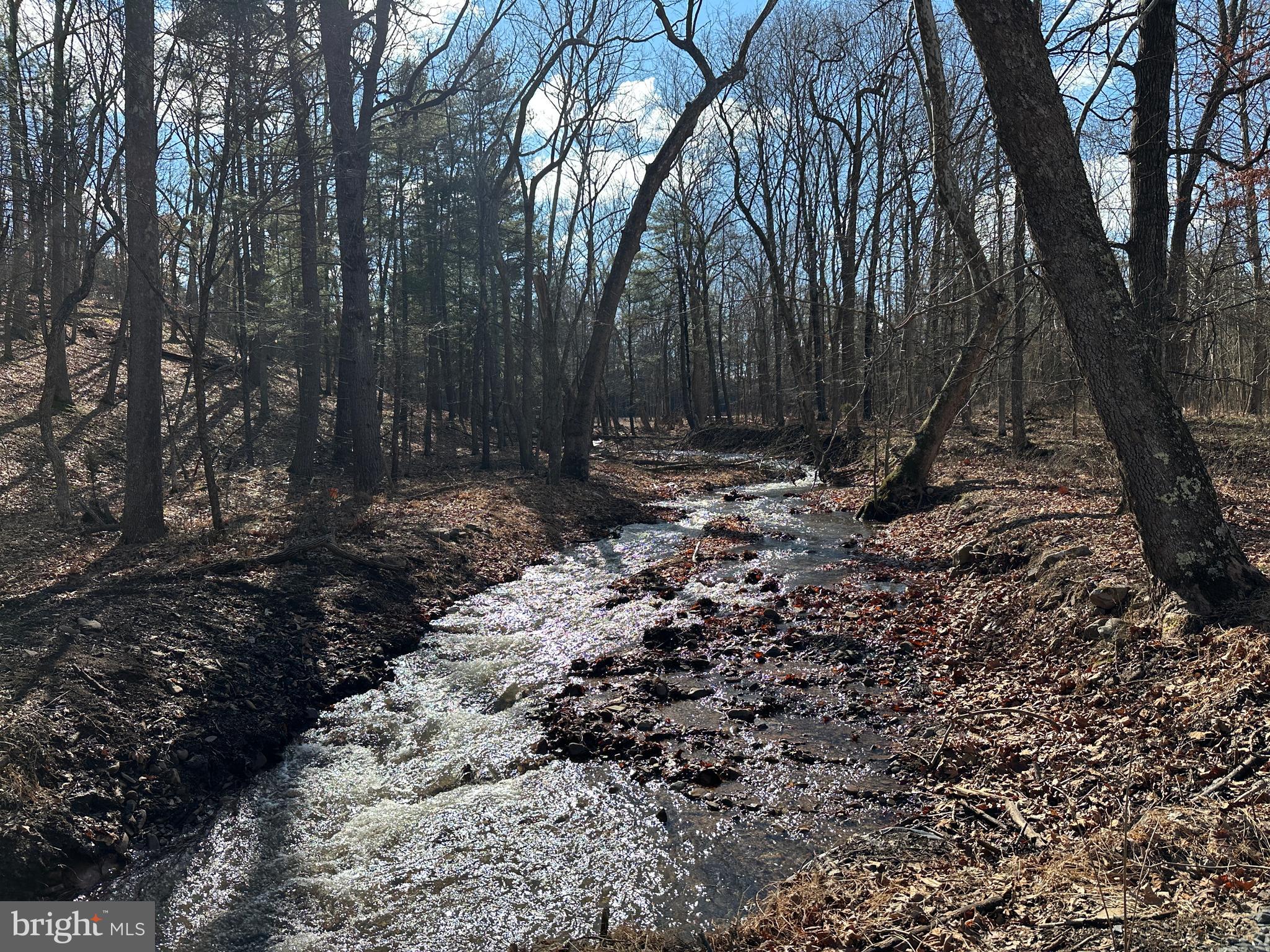 ASHTON WOODS - Land