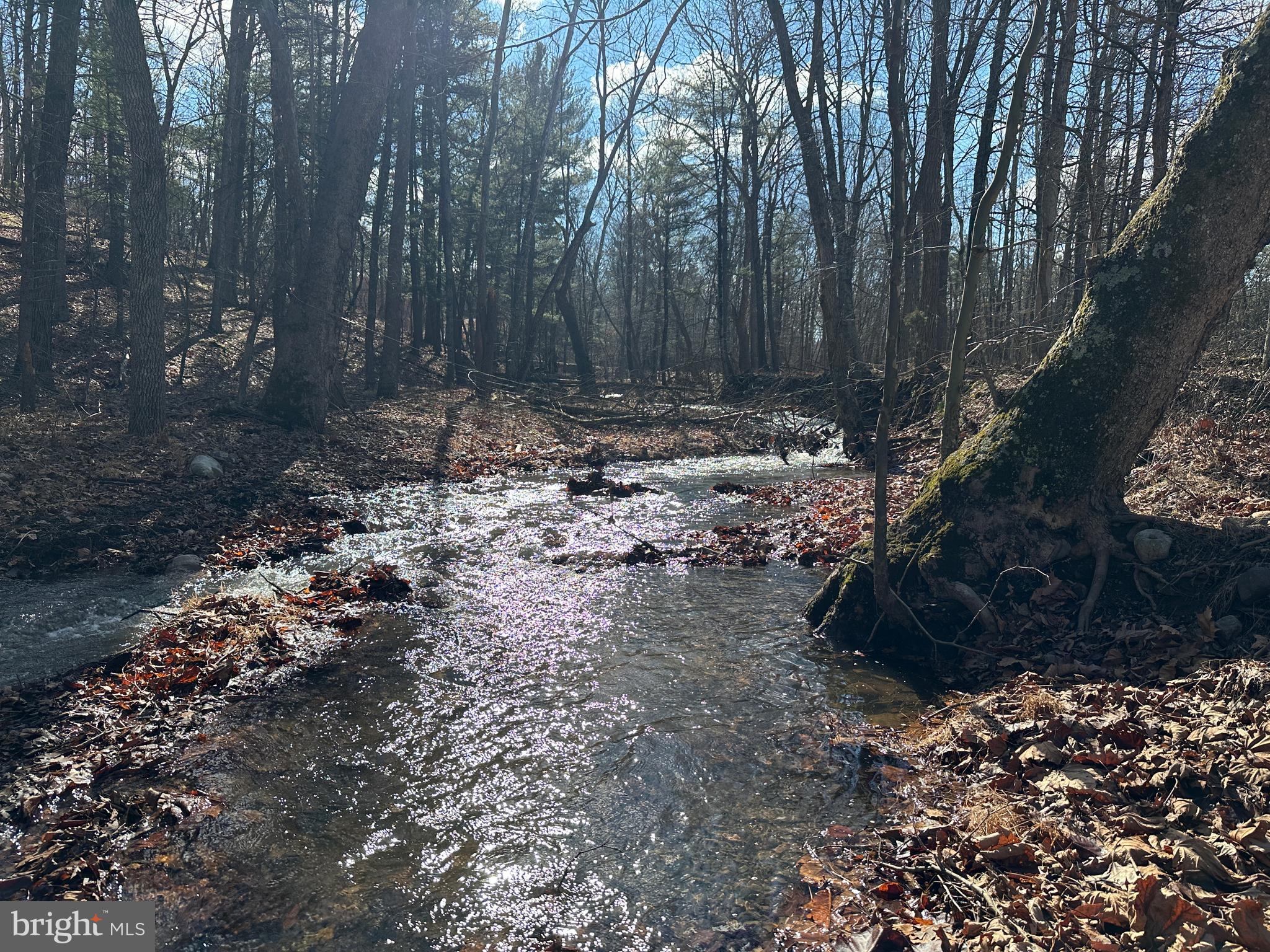 ASHTON WOODS - Land