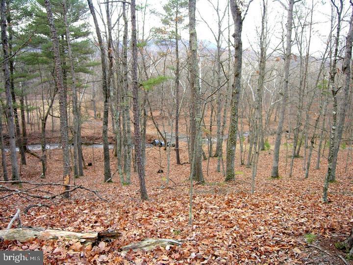 ASHTON WOODS - Land