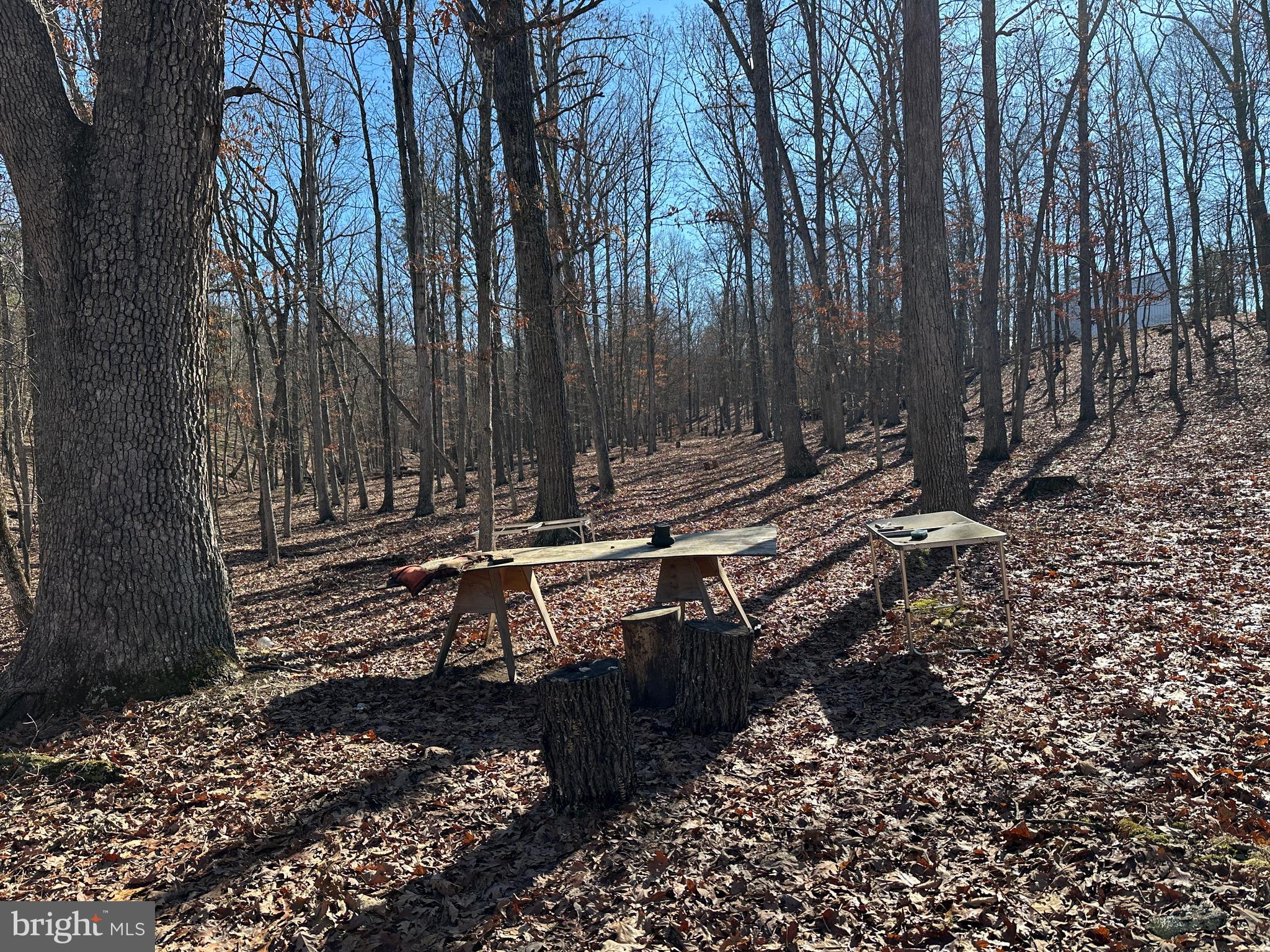 ASHTON WOODS - Land